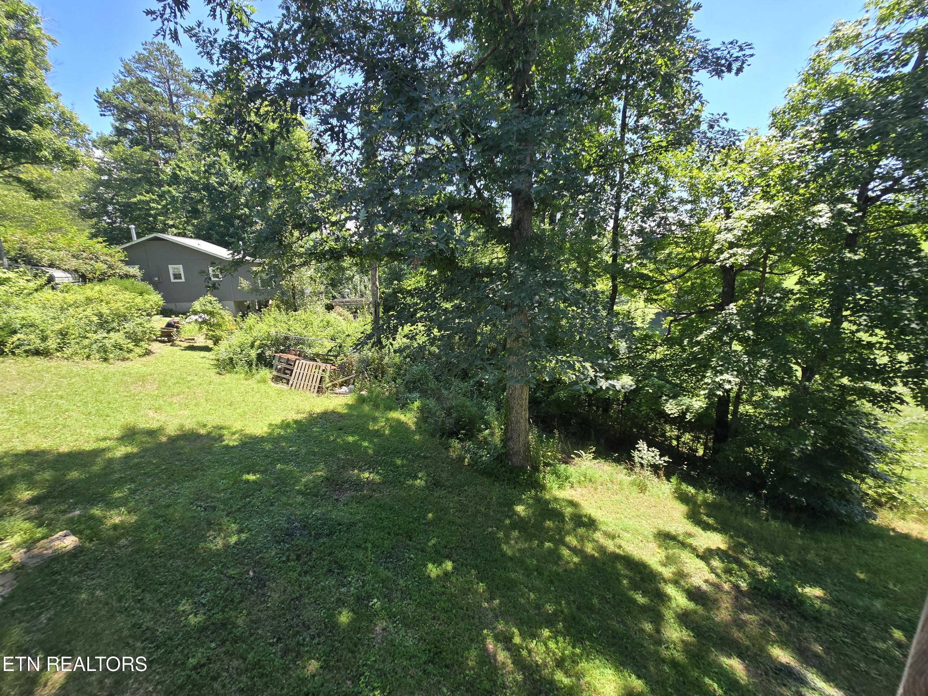 1019 Cole Road New Tazewell TN 37825
