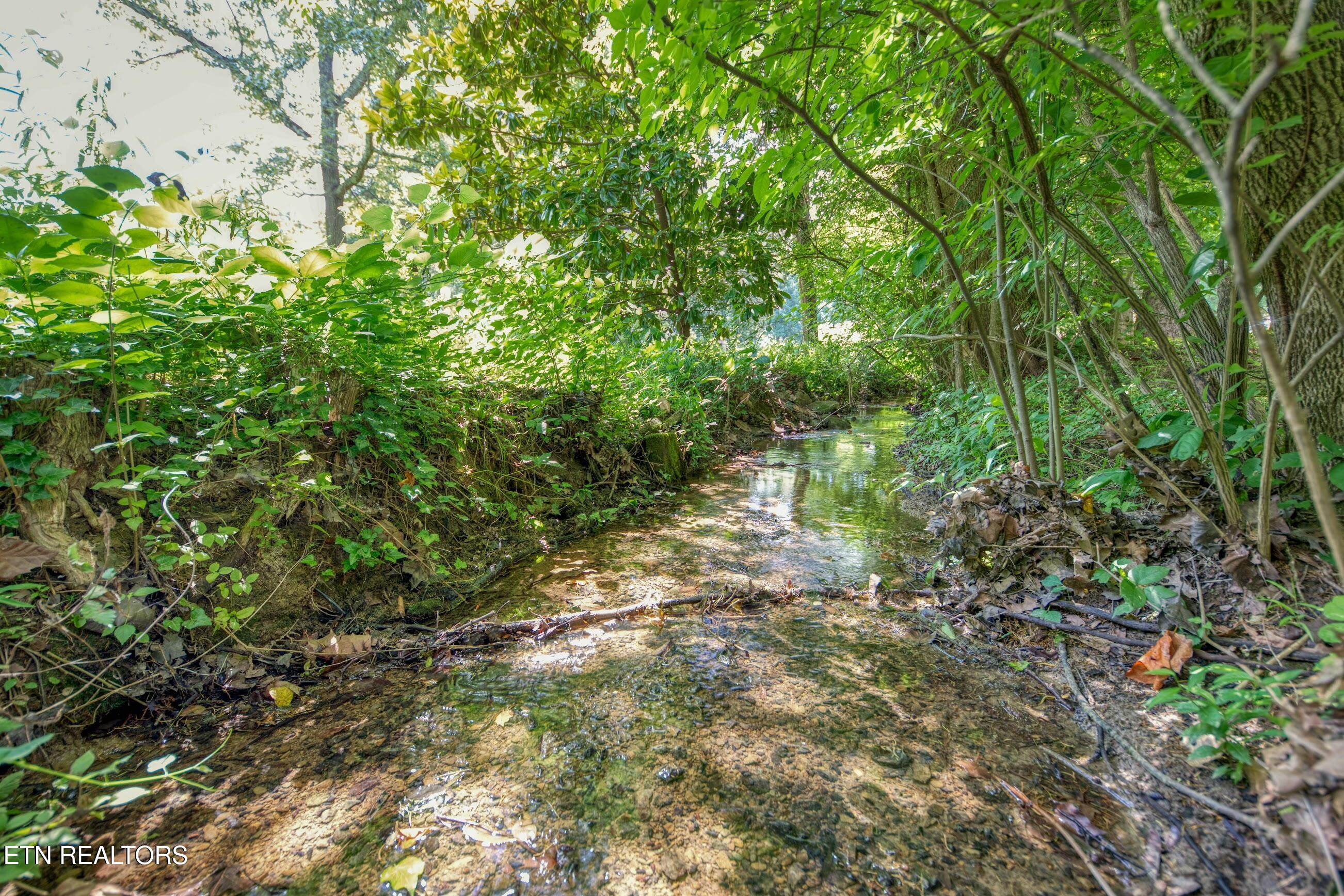 11707 Weathervane Drive Farragut TN 37934