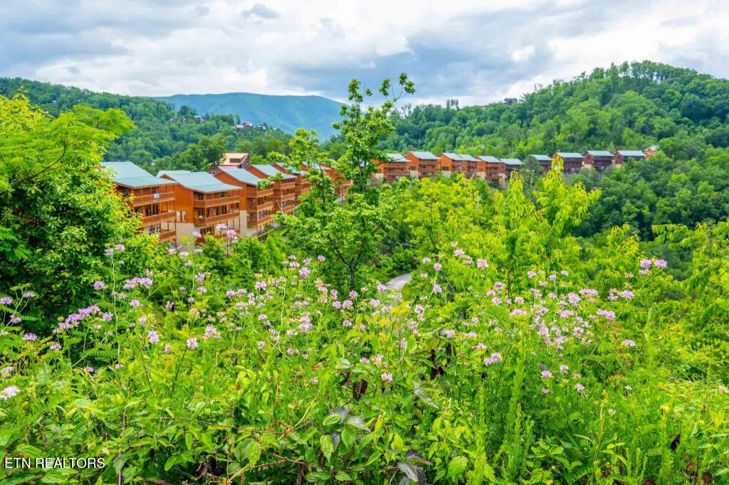 3266 Lonesome Pine Way Sevierville TN 37862