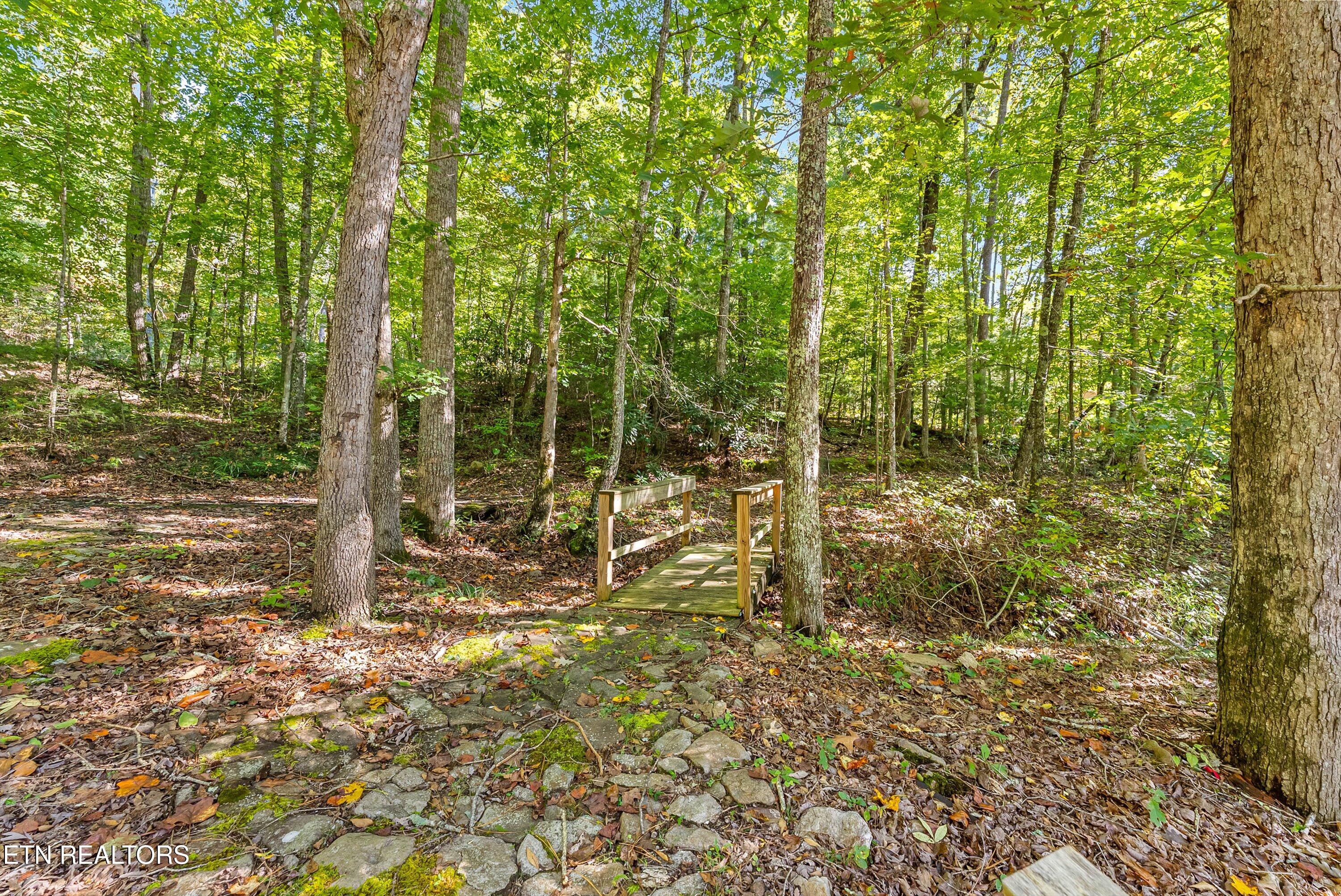 1408 Alpine Drive Sevierville TN 37876