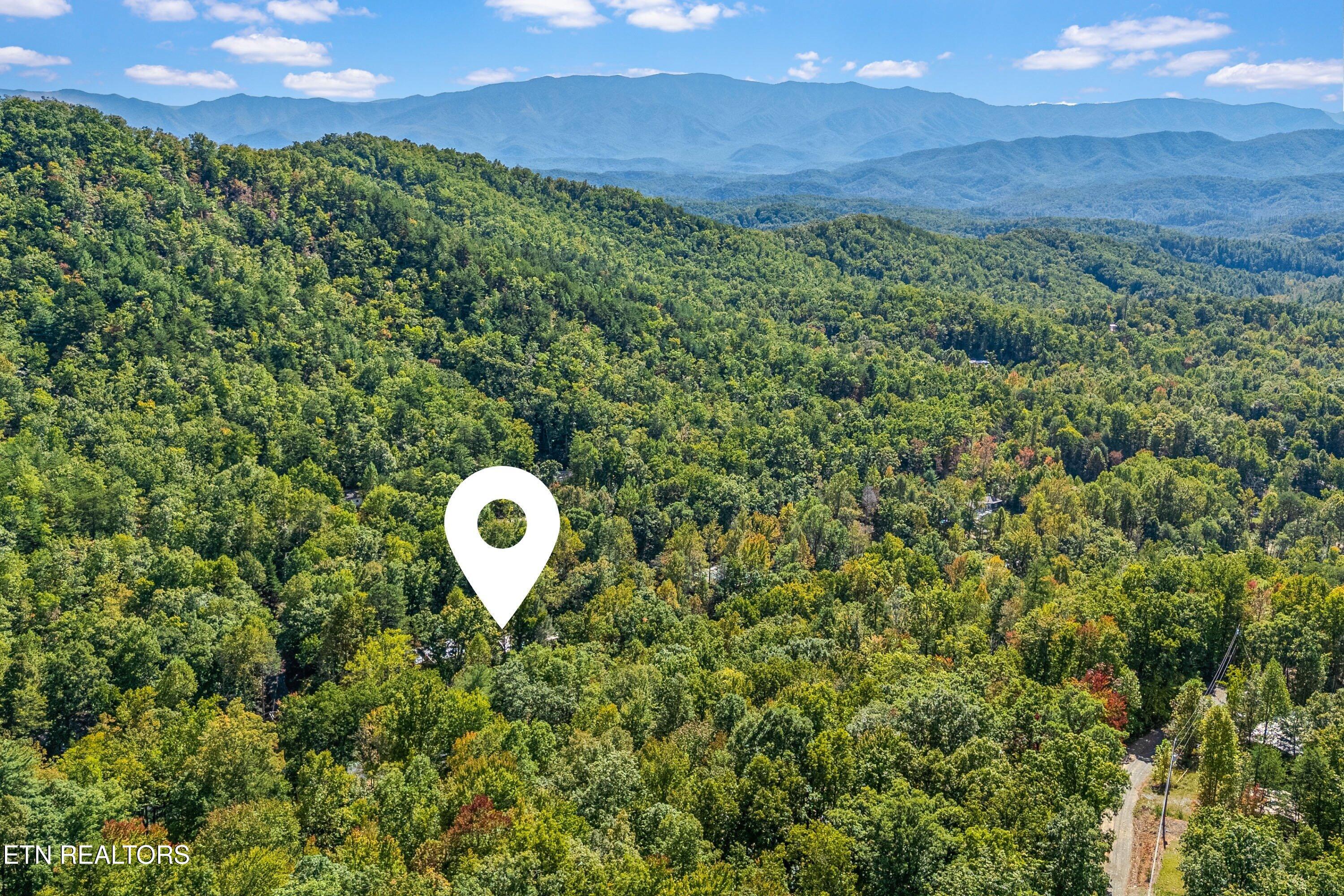 1408 Alpine Drive Sevierville TN 37876