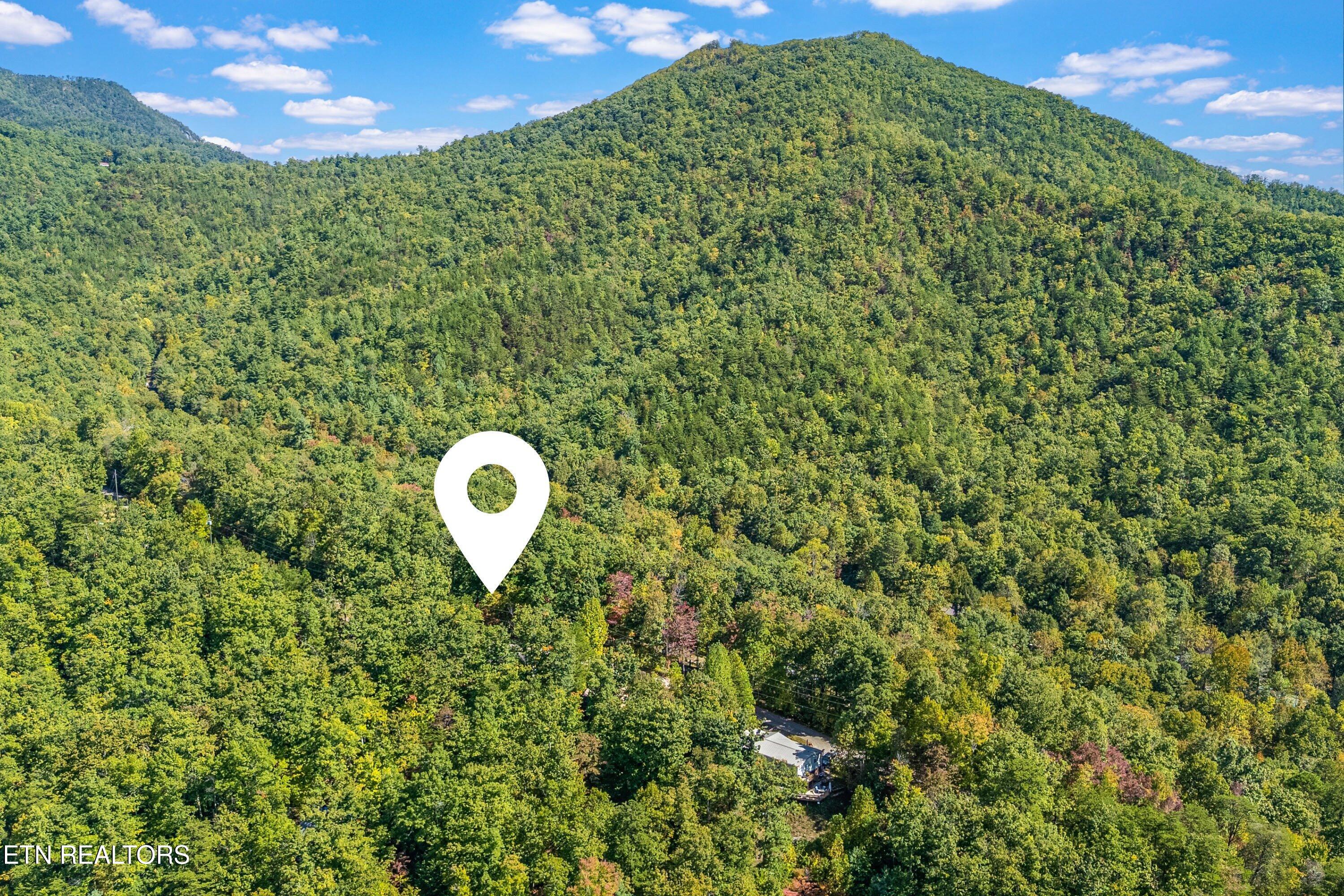 1408 Alpine Drive Sevierville TN 37876