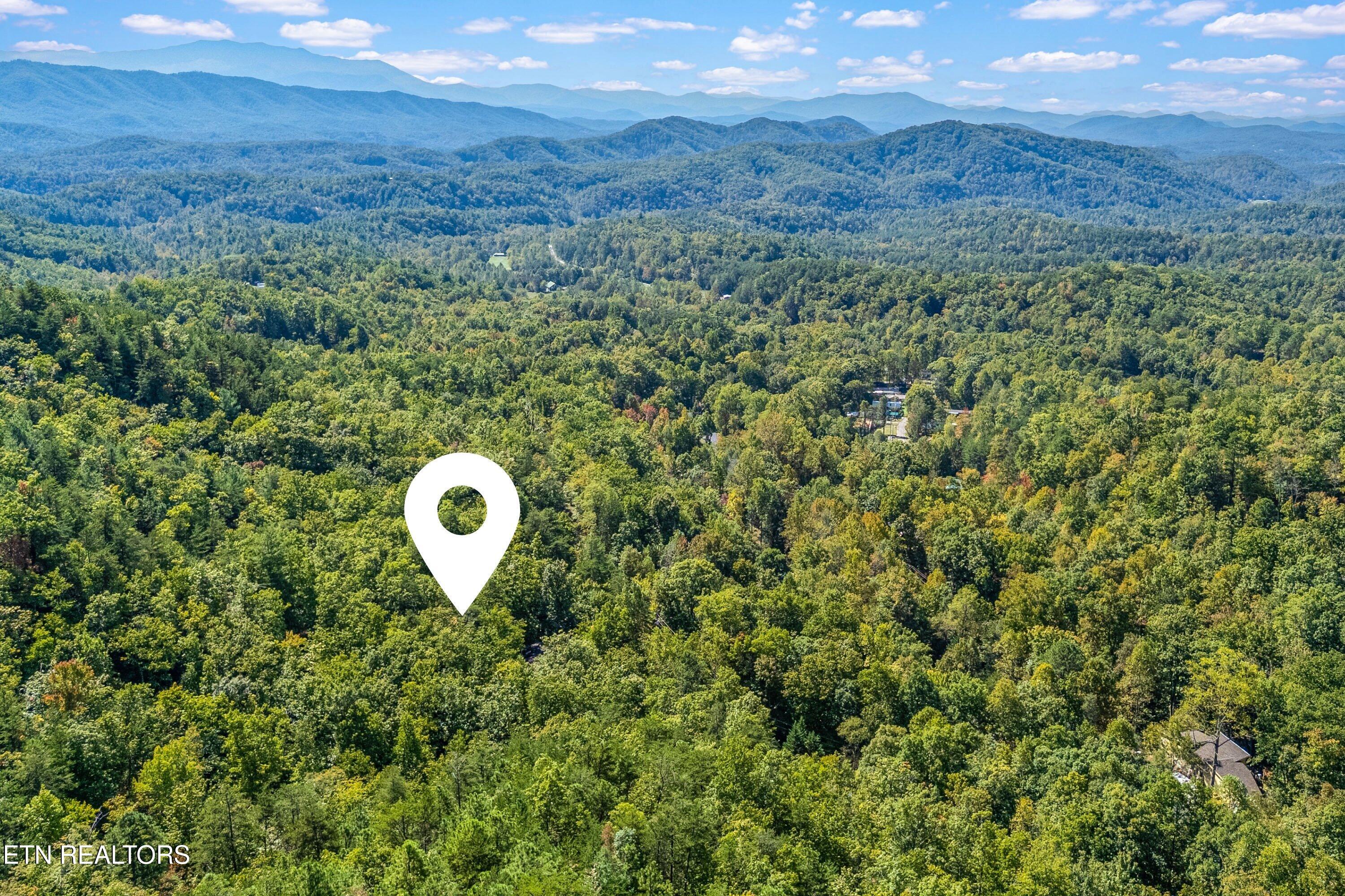 1408 Alpine Drive Sevierville TN 37876