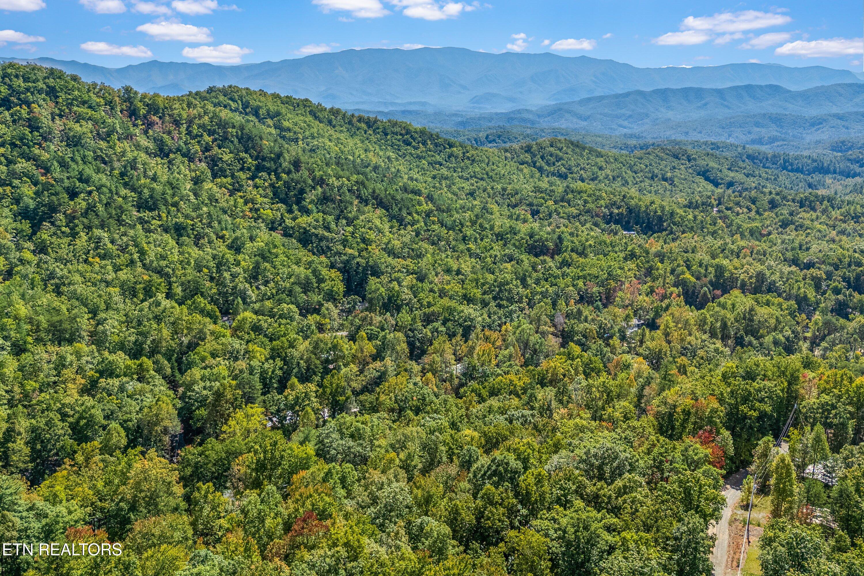 1408 Alpine Drive Sevierville TN 37876