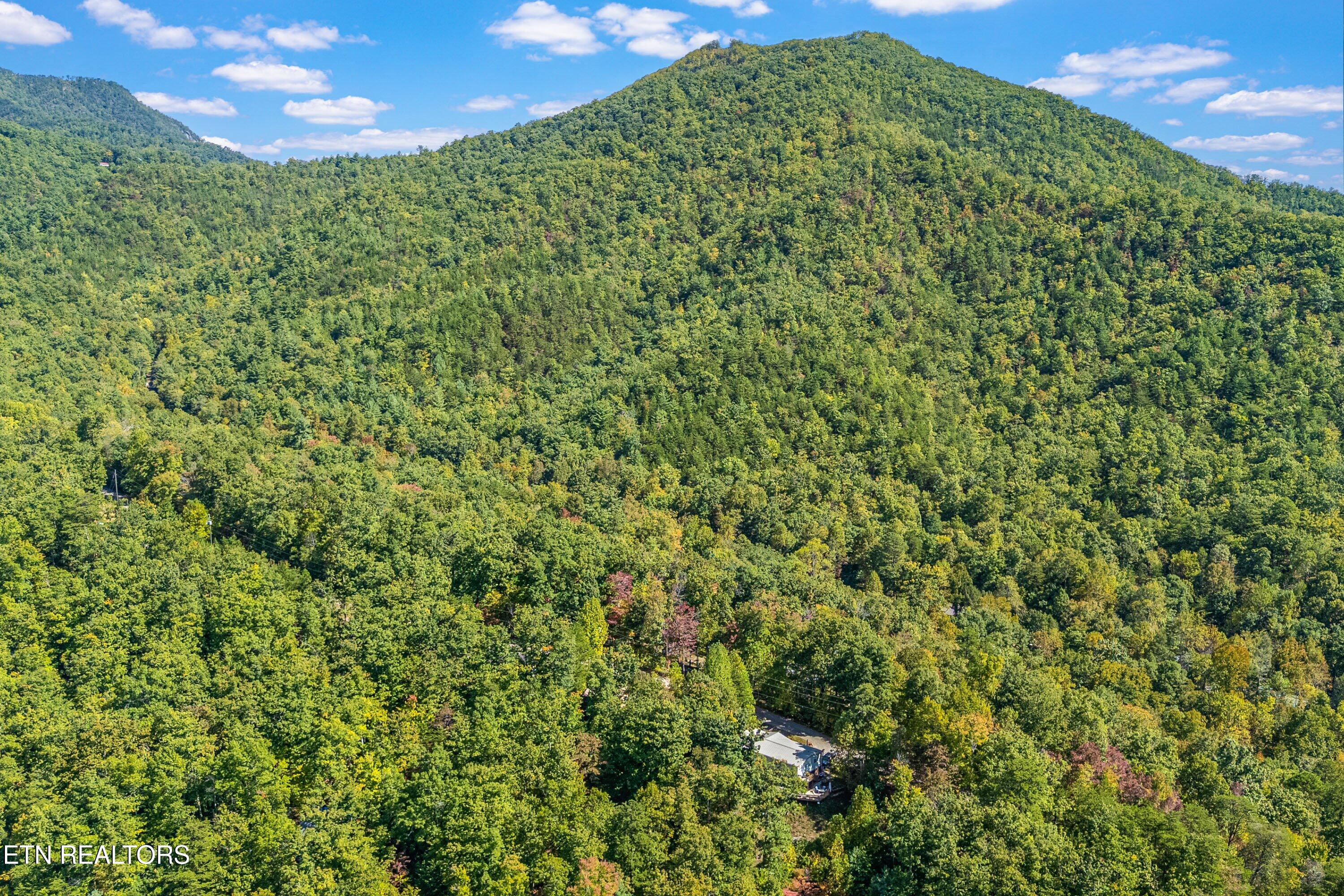 1408 Alpine Drive Sevierville TN 37876