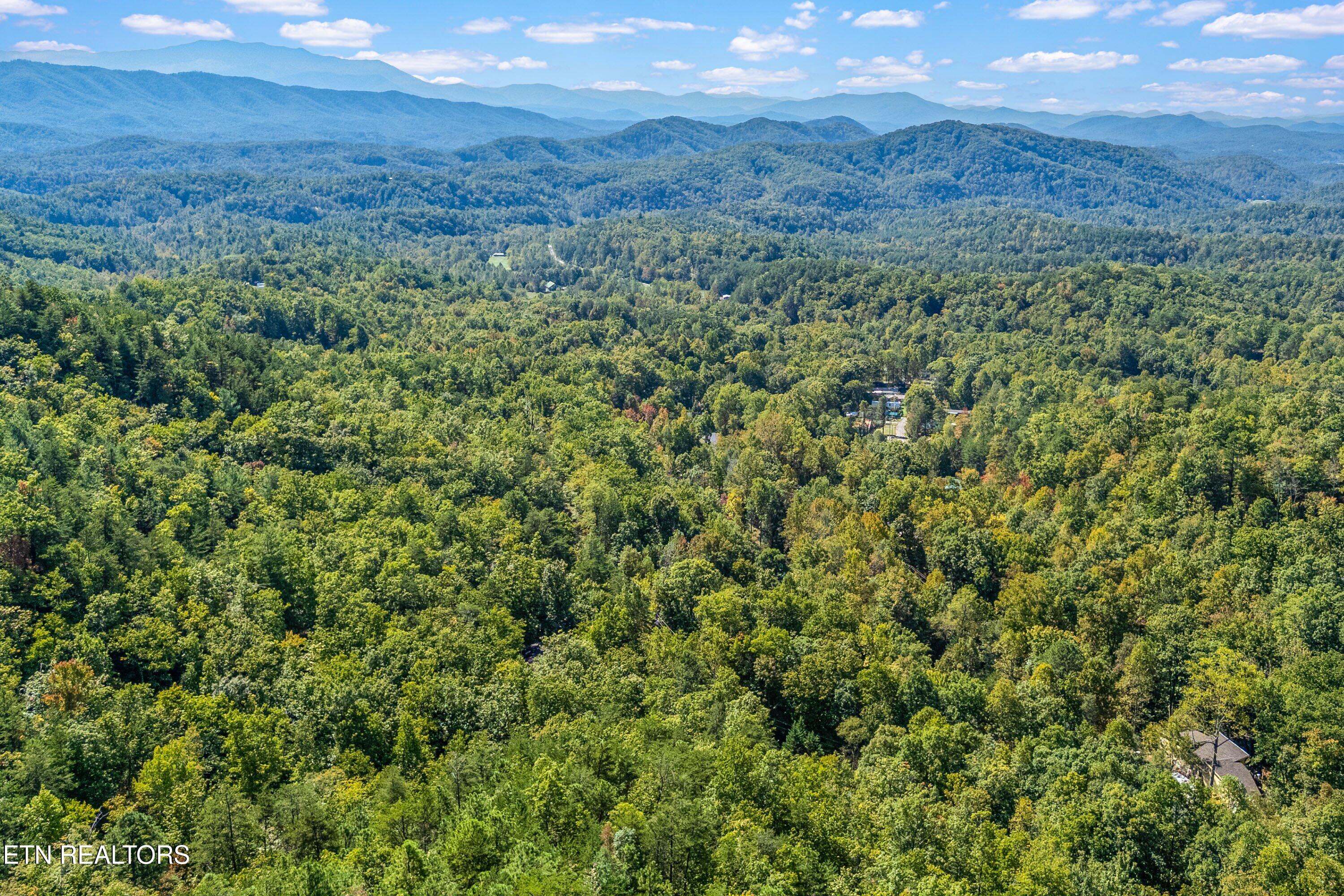 1408 Alpine Drive Sevierville TN 37876