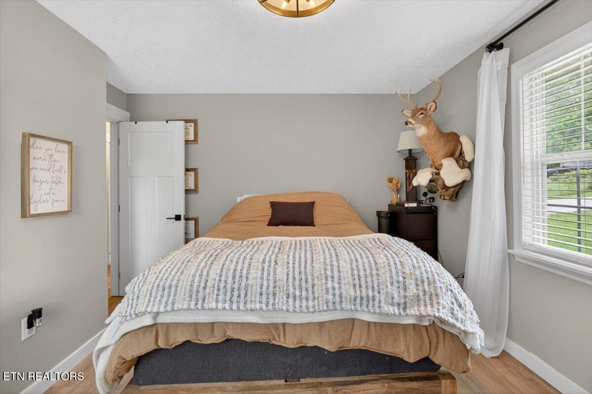 158 Boulder Road Wartburg TN 37887