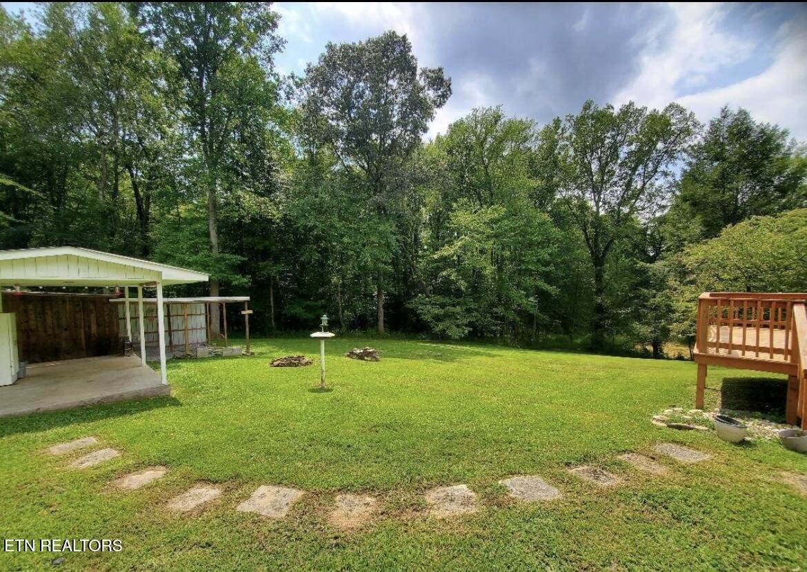 342 Vine Avenue Oneida TN 37841