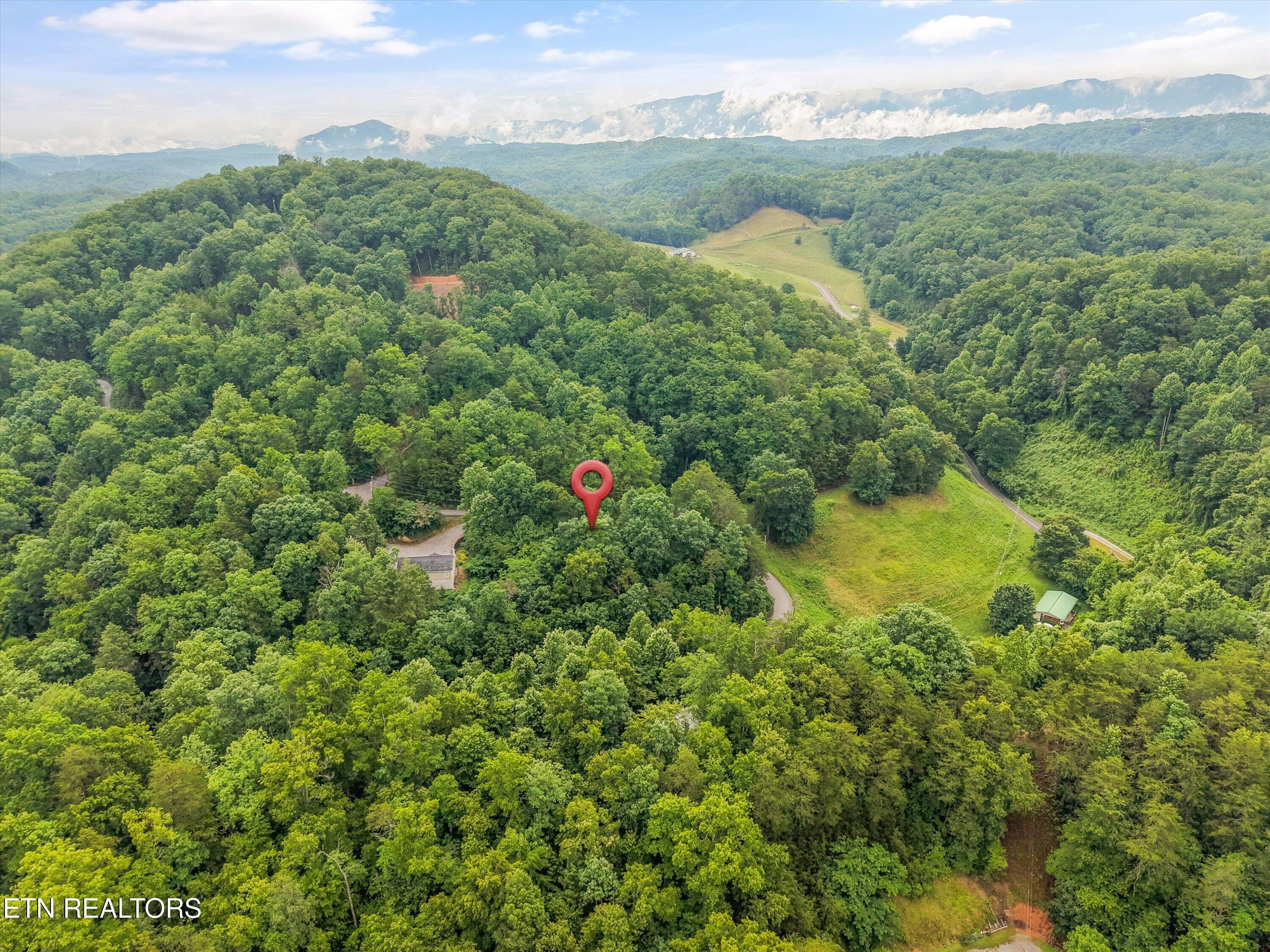 1713 Oakridge View Lane Sevierville TN 37876