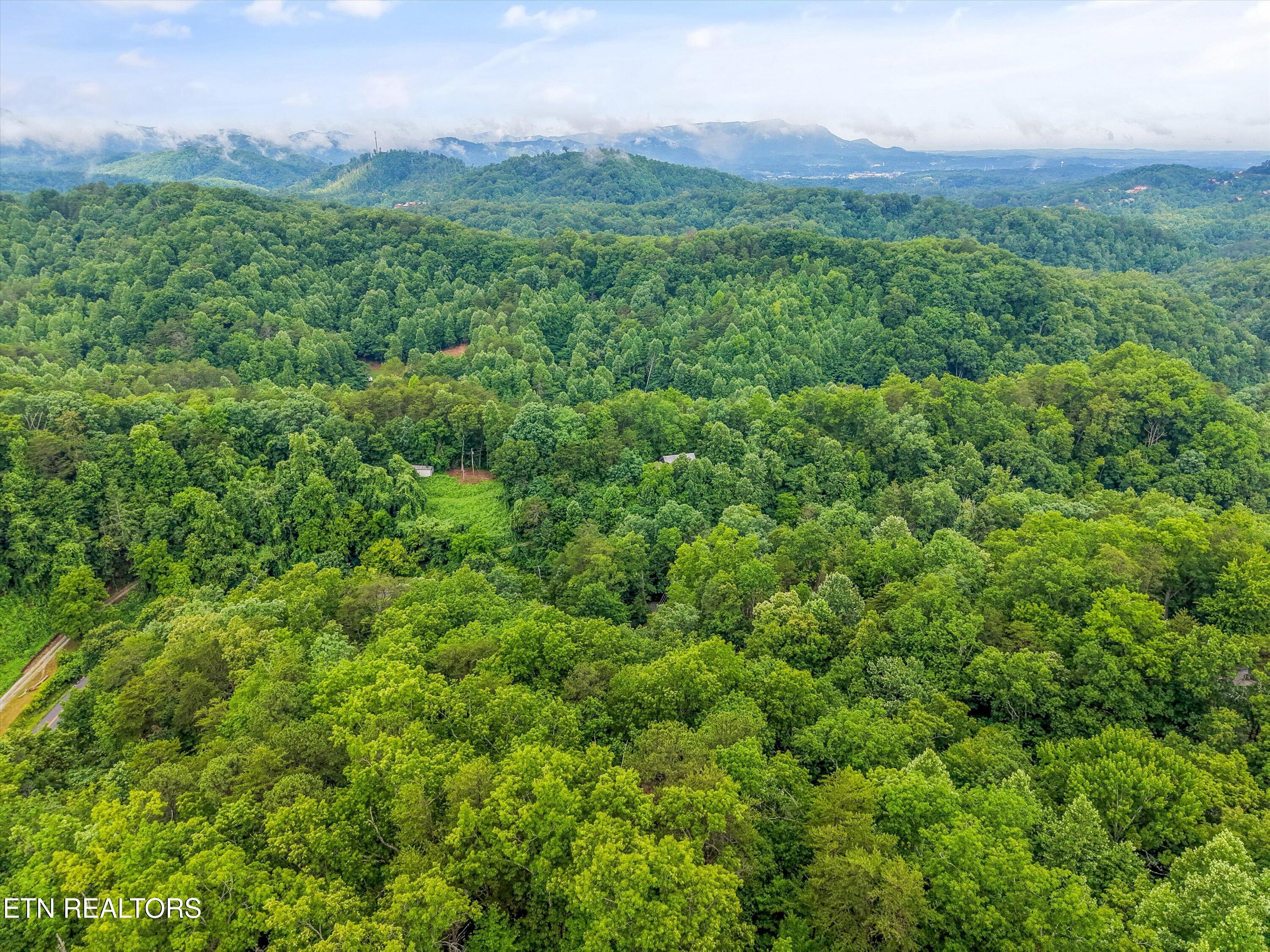 1713 Oakridge View Lane Sevierville TN 37876