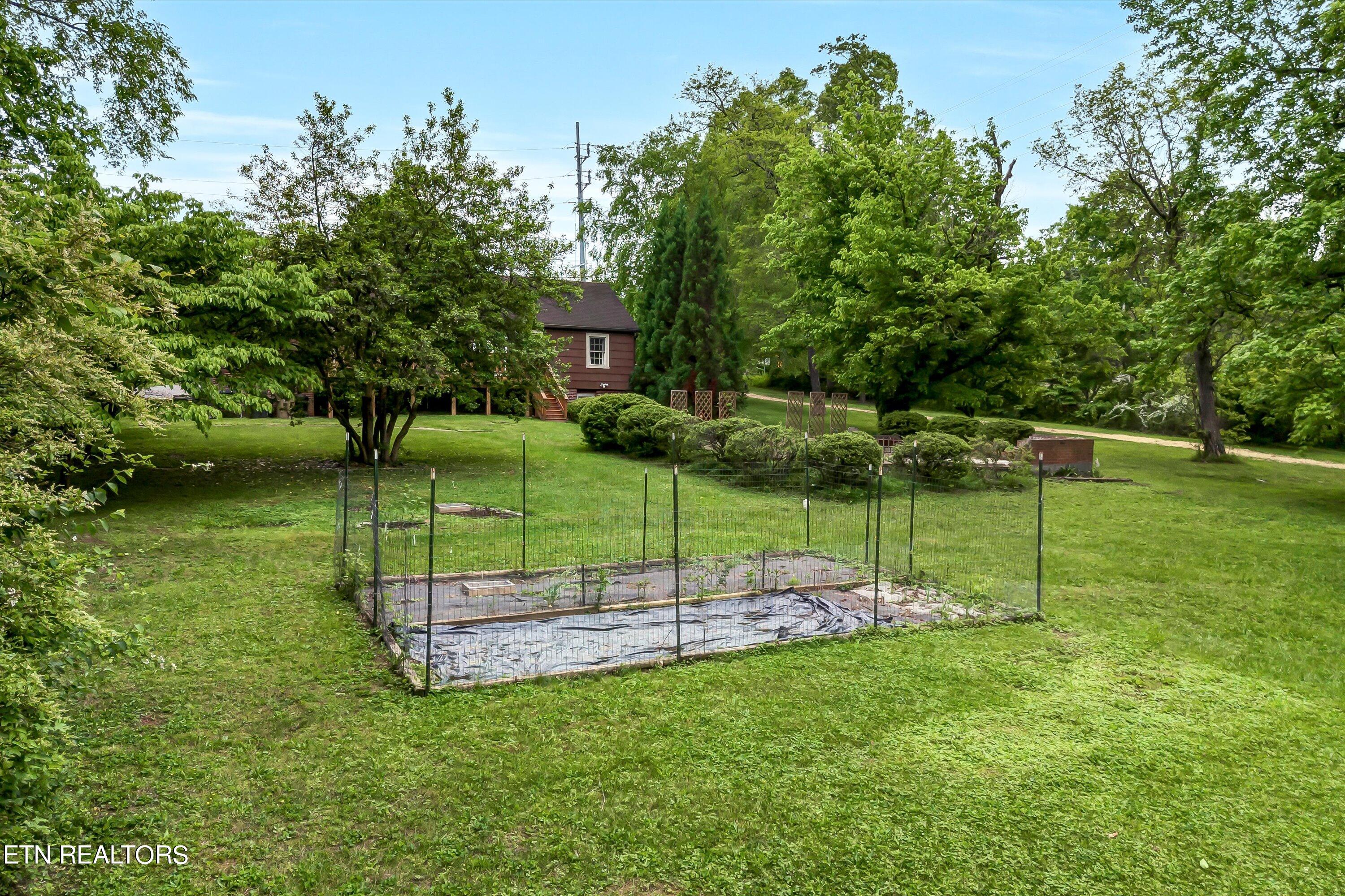 1703 Maple Drive Knoxville TN 37918