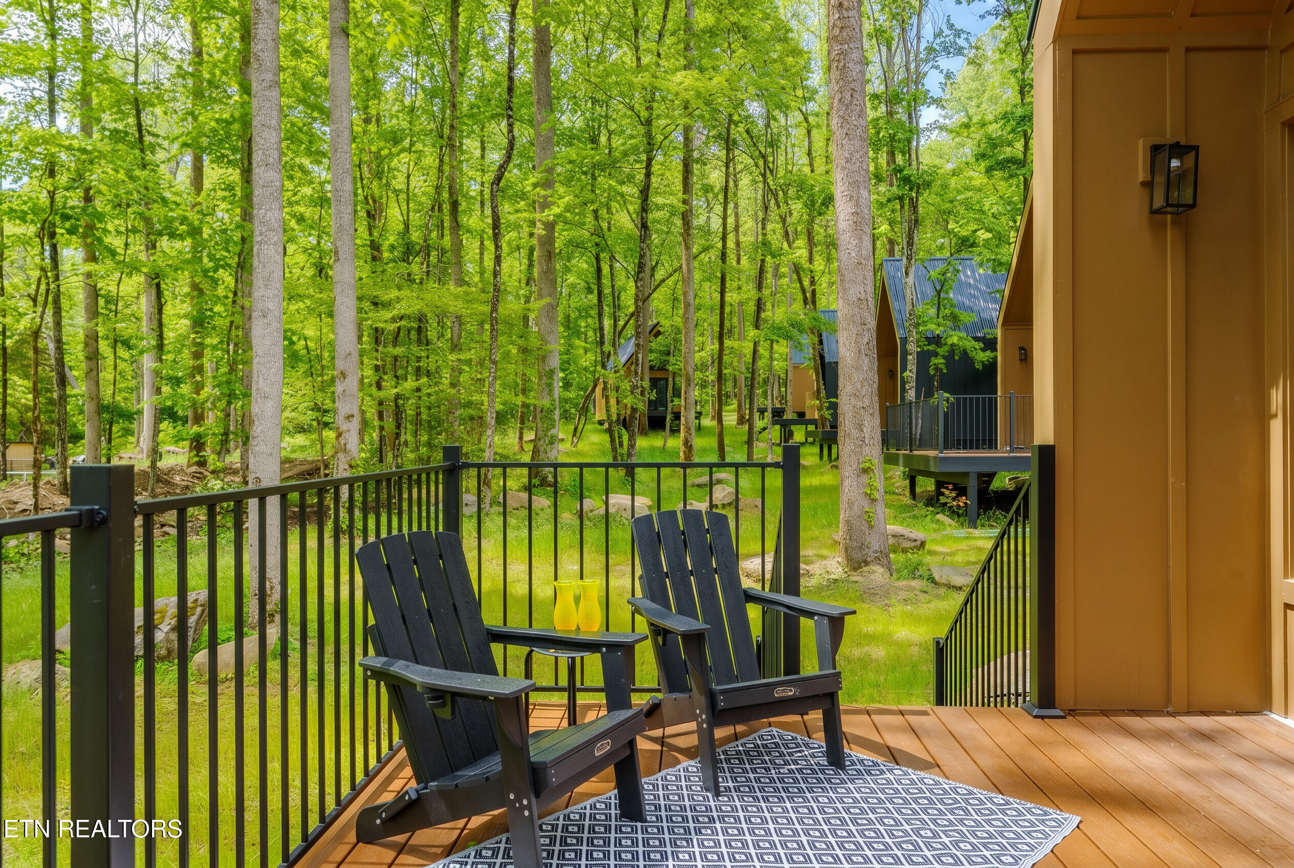 228 Braydens Way Gatlinburg TN 37738