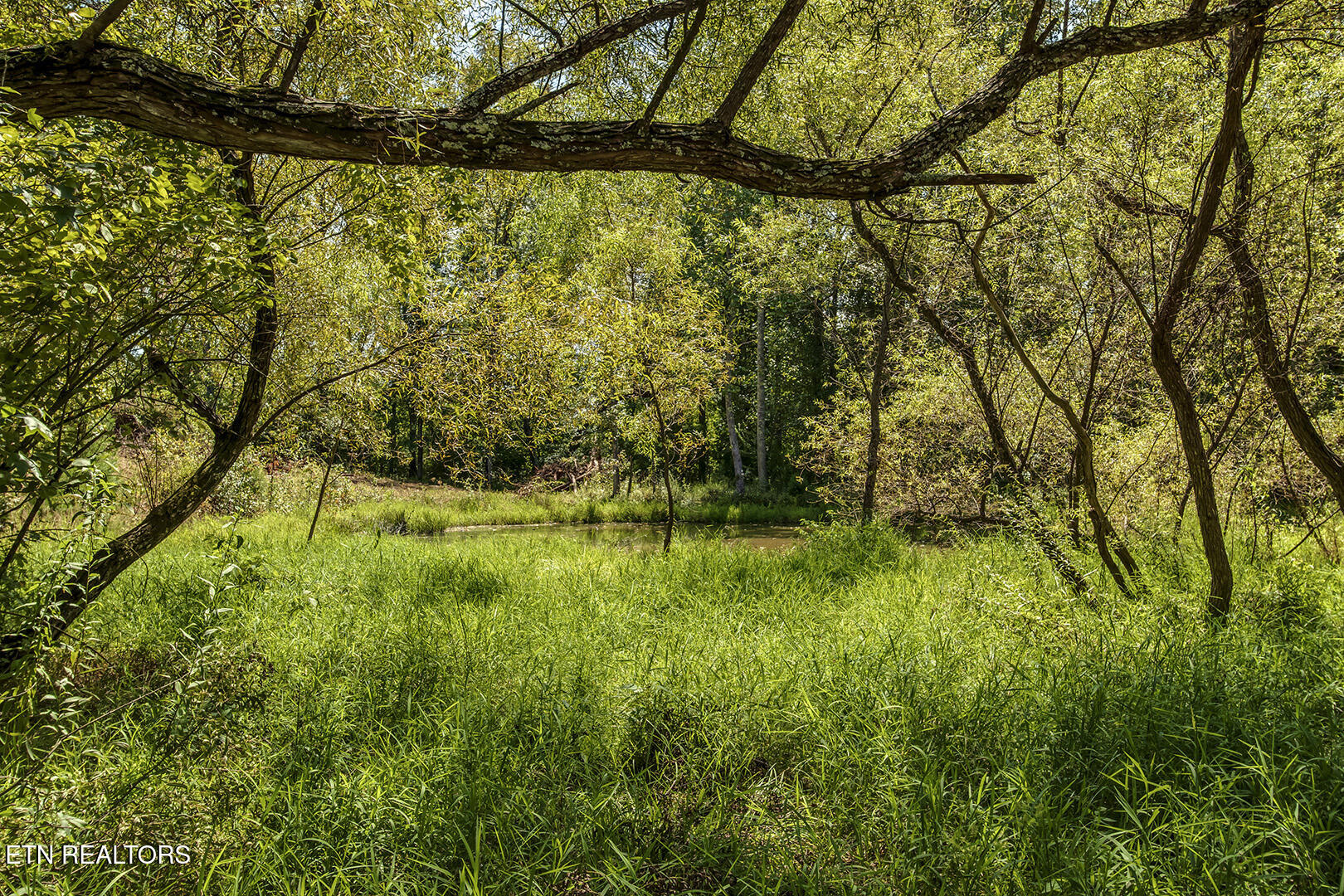 2511 Old Harriman Highway Harriman TN 37748