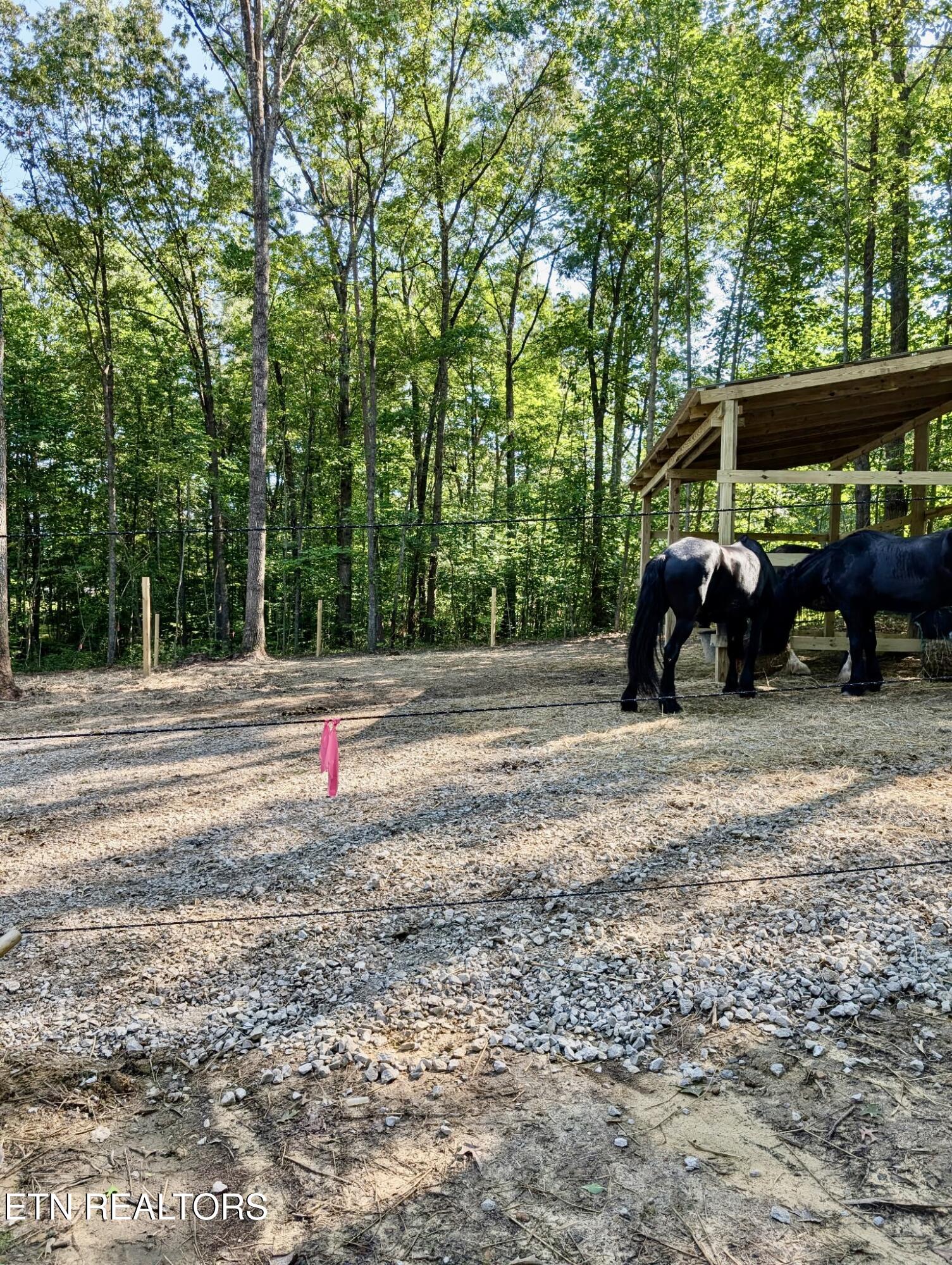 108 Shotgun Annie Road Jamestown TN 38556