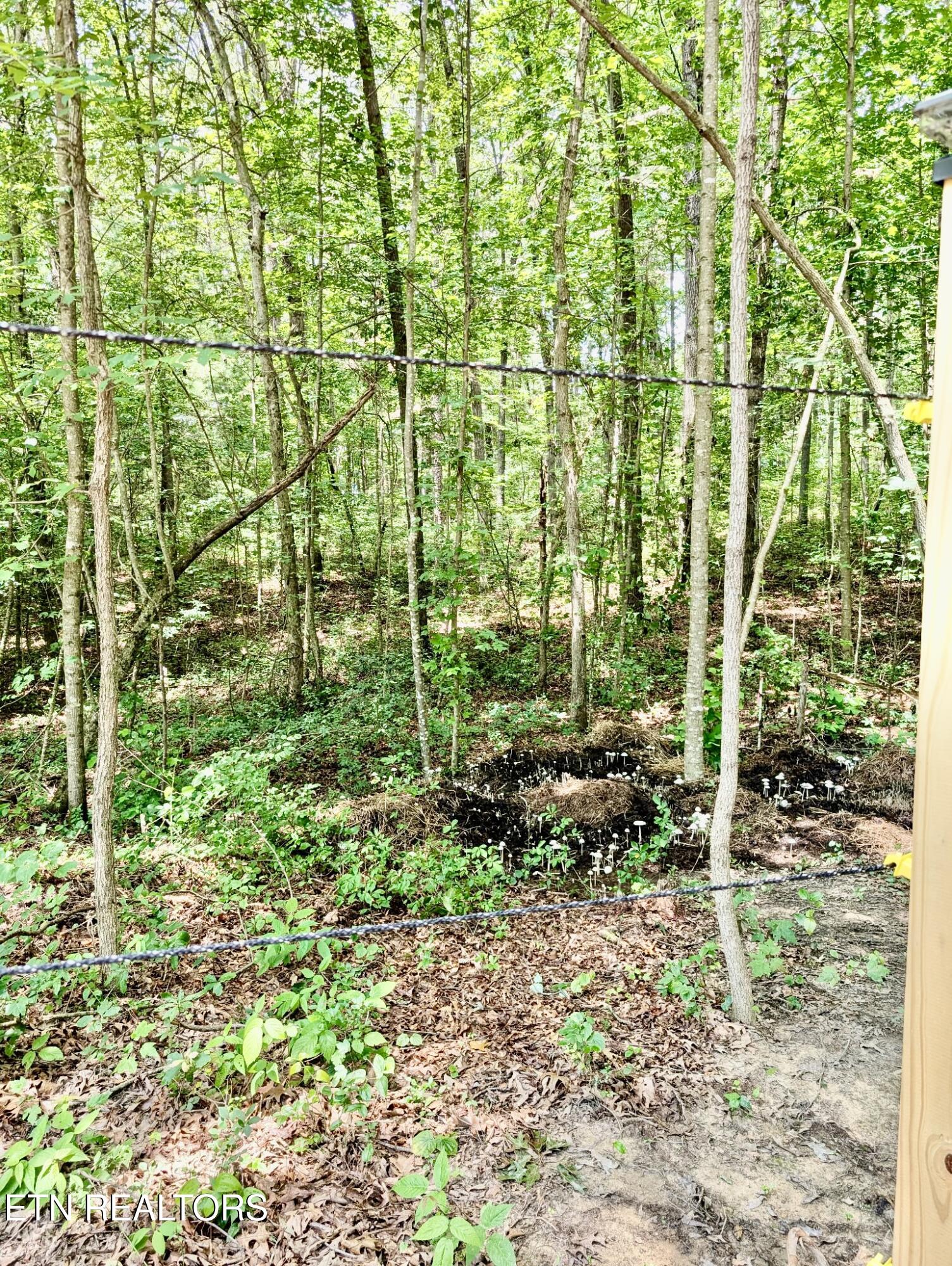 108 Shotgun Annie Road Jamestown TN 38556