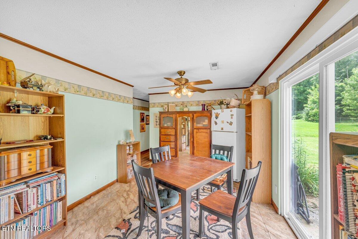 225 Spring Street Spring City TN 37381