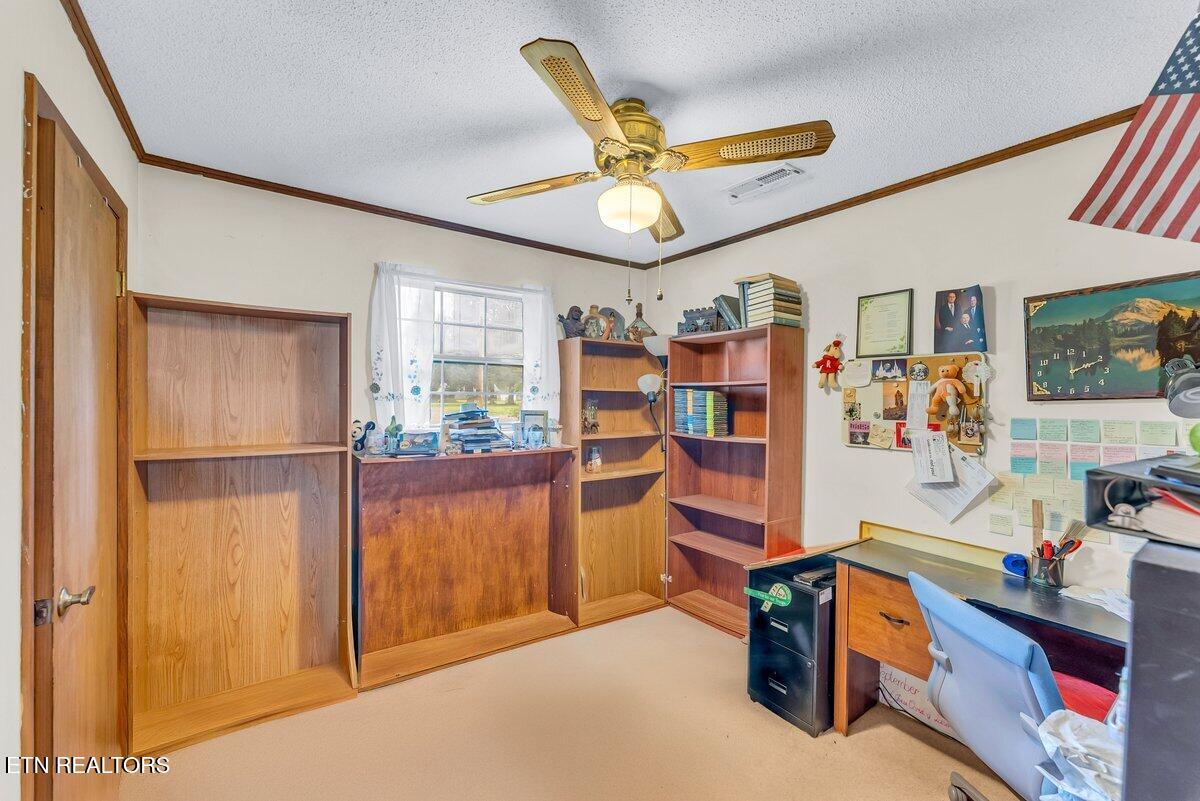 225 Spring Street Spring City TN 37381