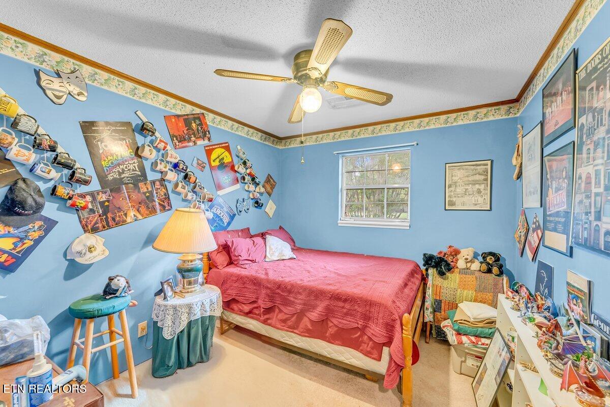 225 Spring Street Spring City TN 37381