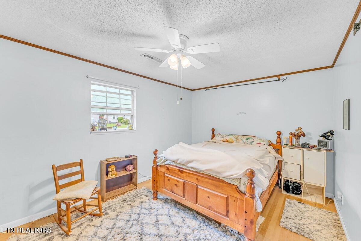 225 Spring Street Spring City TN 37381