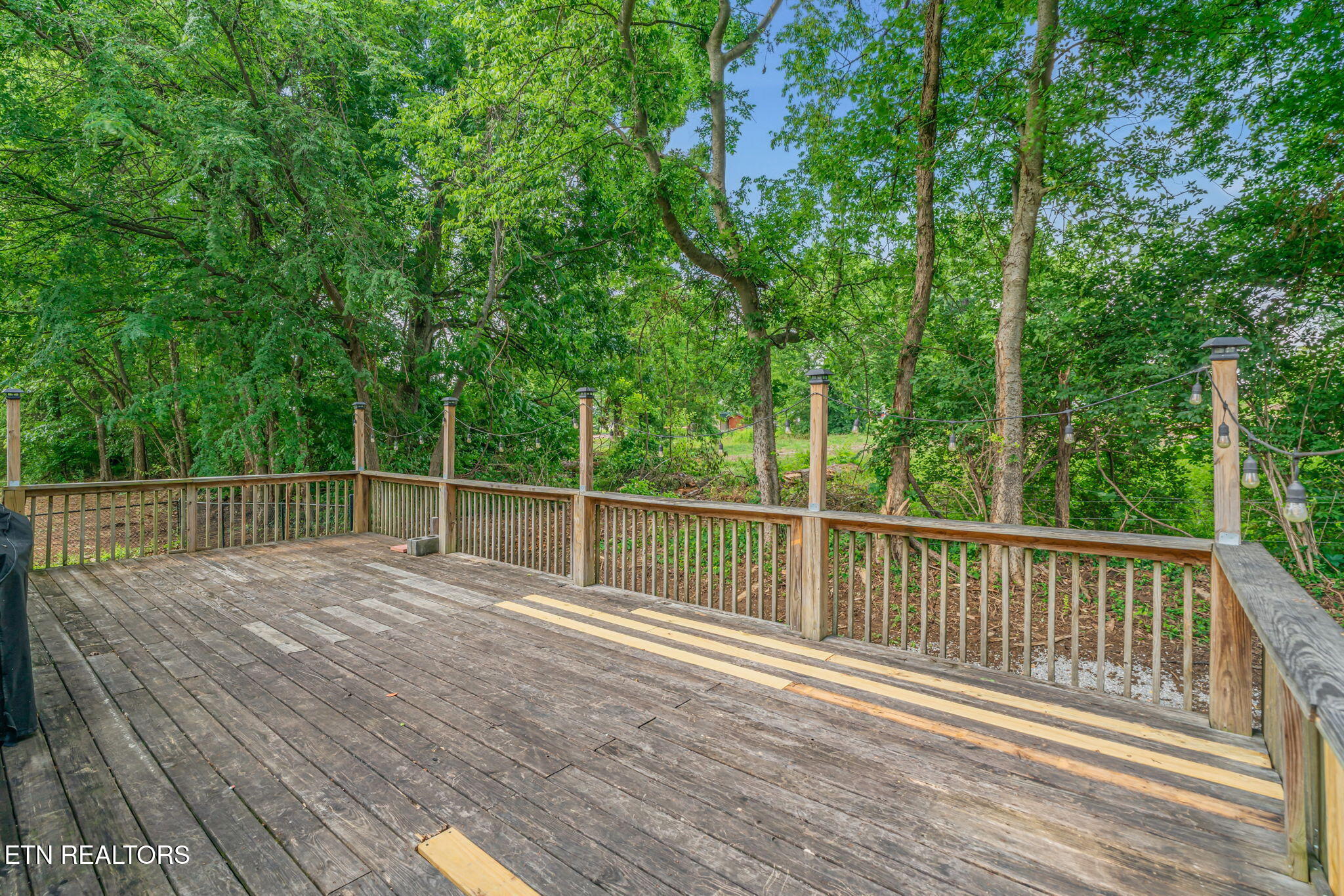 7325 Evanel Way Powell TN 37849