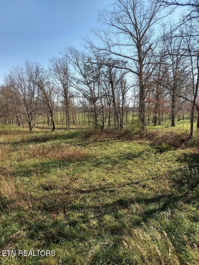 1164 Bowman Loop Crossville TN 38571