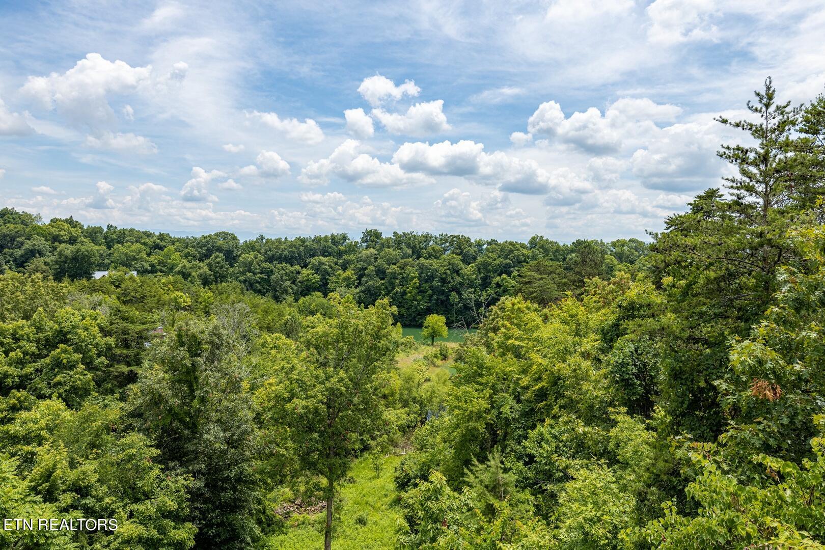 973 Pleasure Road Sevierville TN 37876