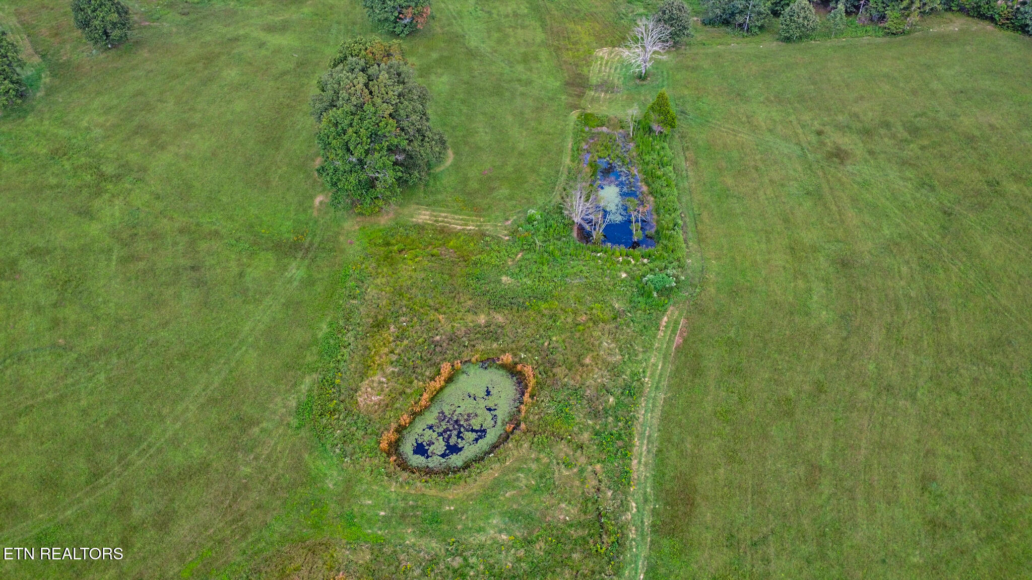 1386 Pigeon Ridge Road Crossville TN 38555