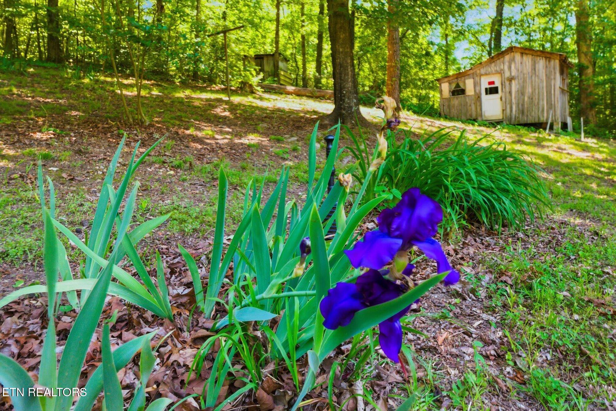 452 County Road 213 Athens TN 37303
