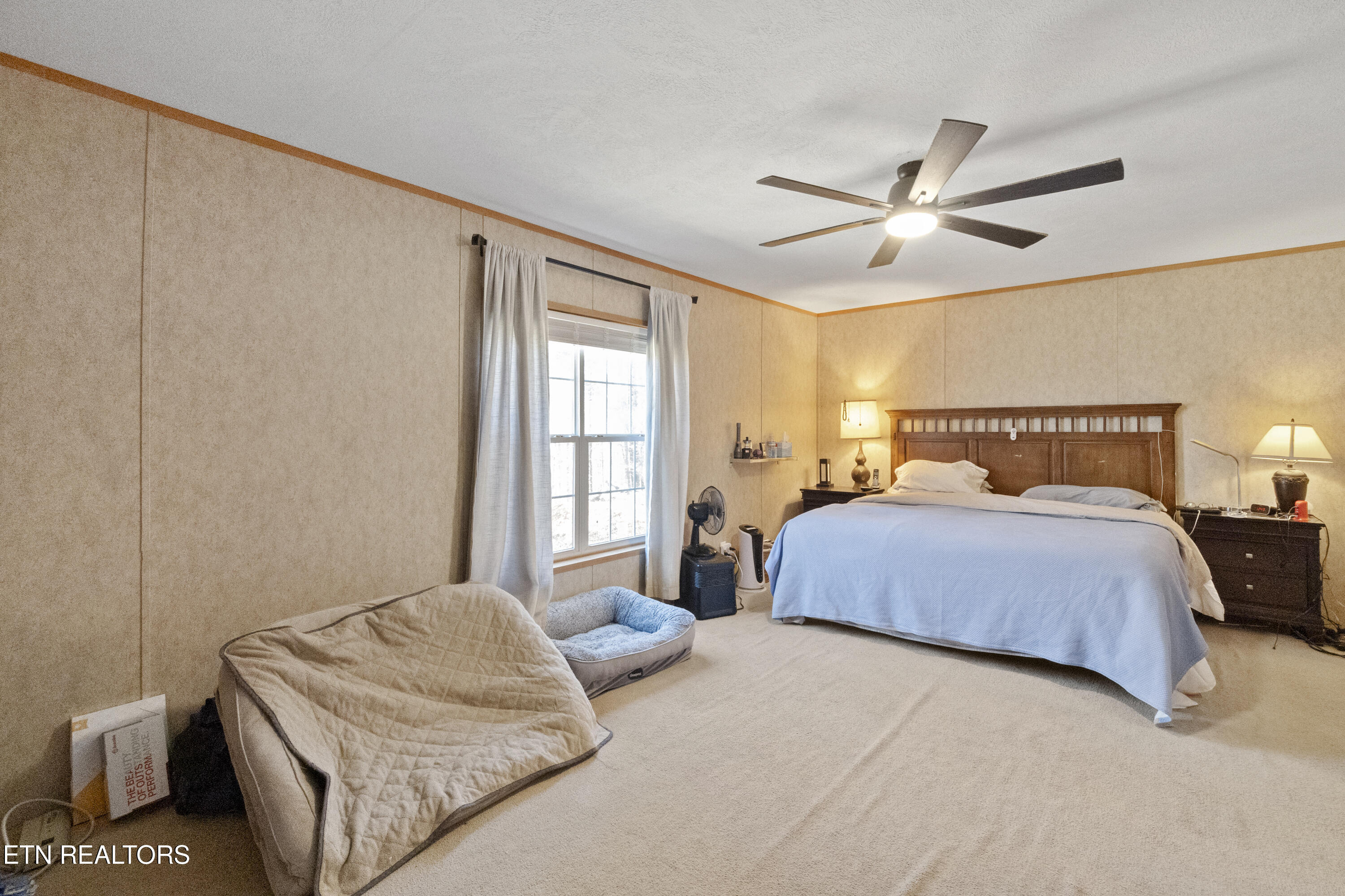 474 Punkton Road Del Rio TN 37727