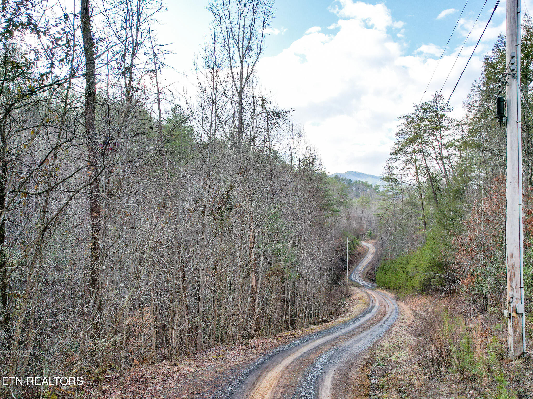 474 Punkton Road Del Rio TN 37727