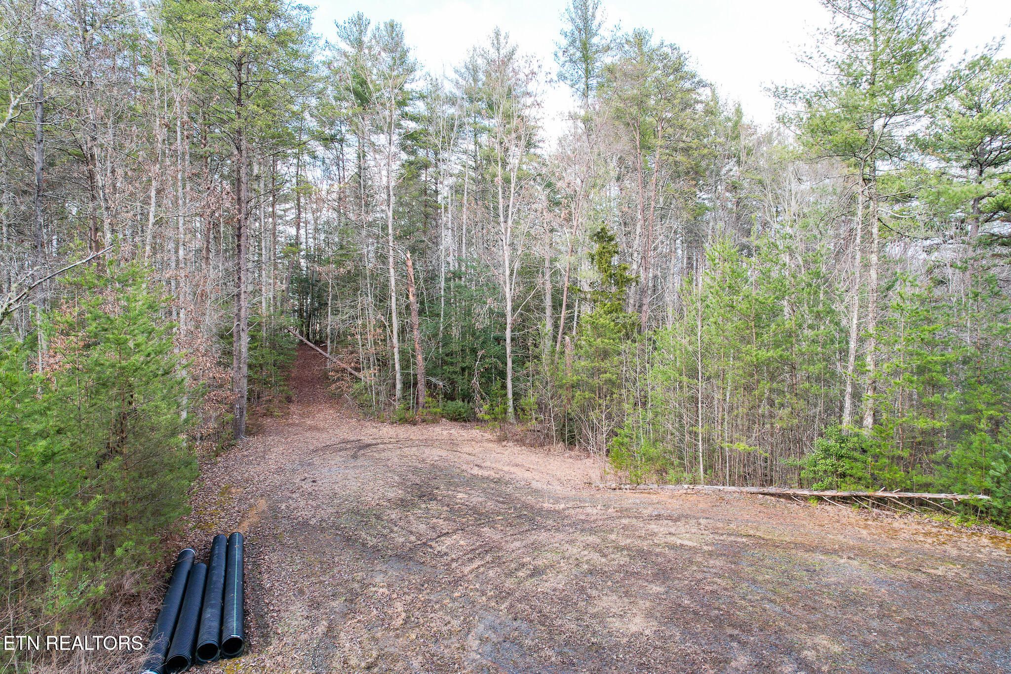 474 Punkton Road Del Rio TN 37727