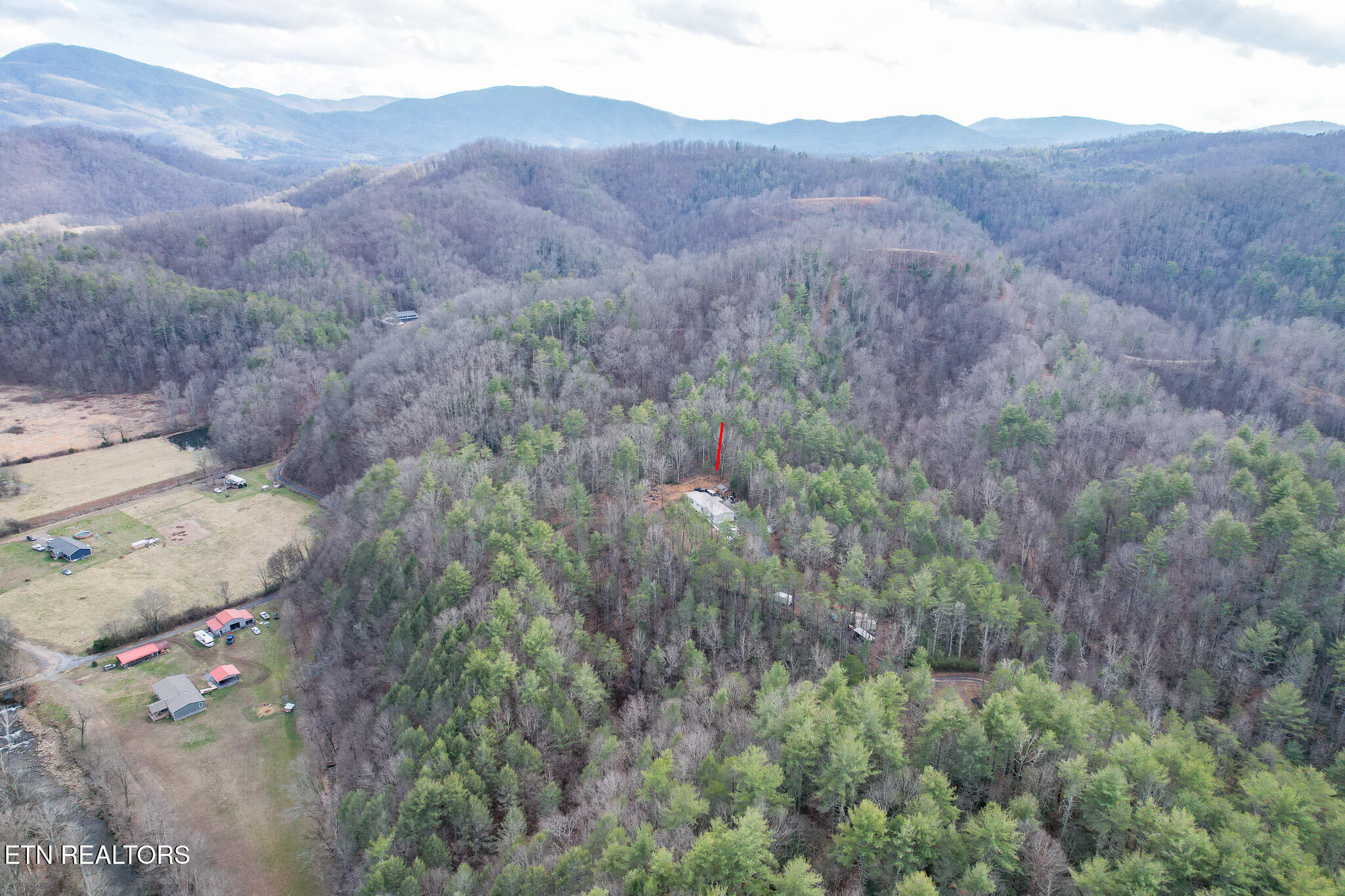 474 Punkton Road Del Rio TN 37727