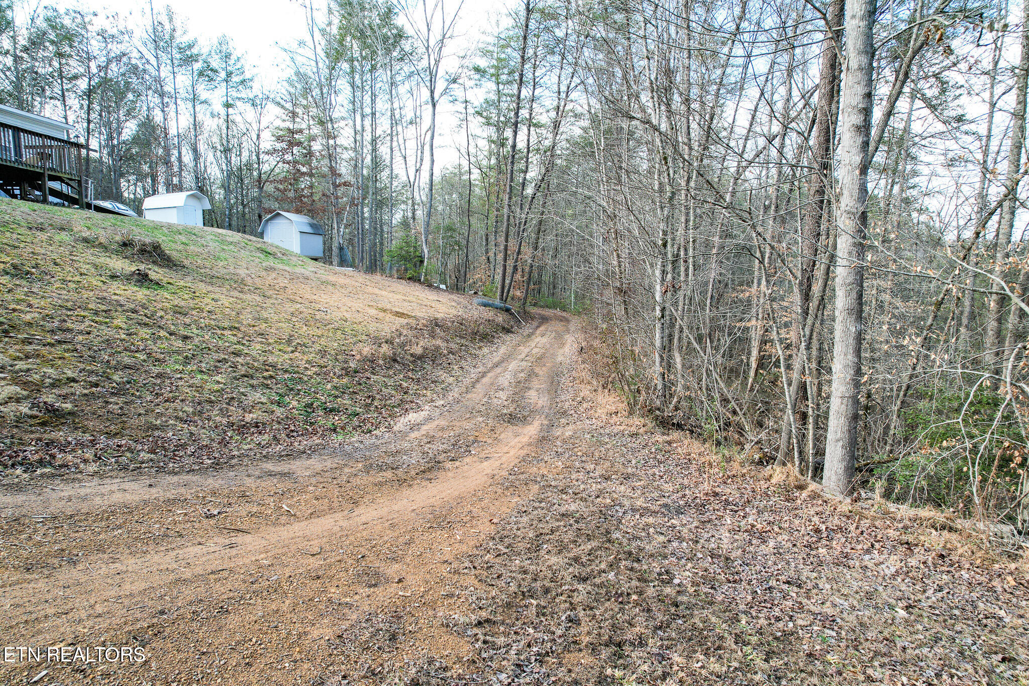 474 Punkton Road Del Rio TN 37727