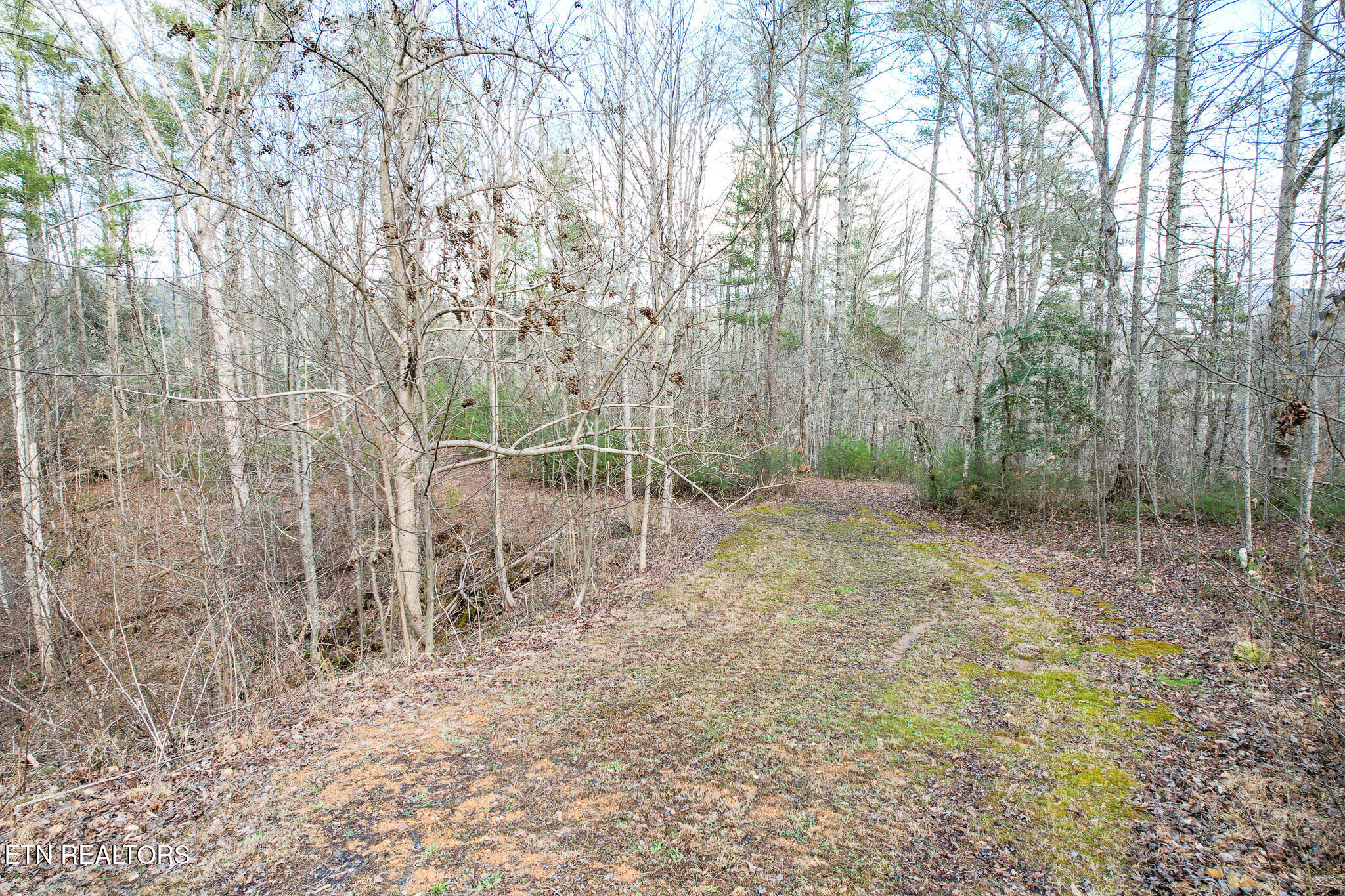 474 Punkton Road Del Rio TN 37727