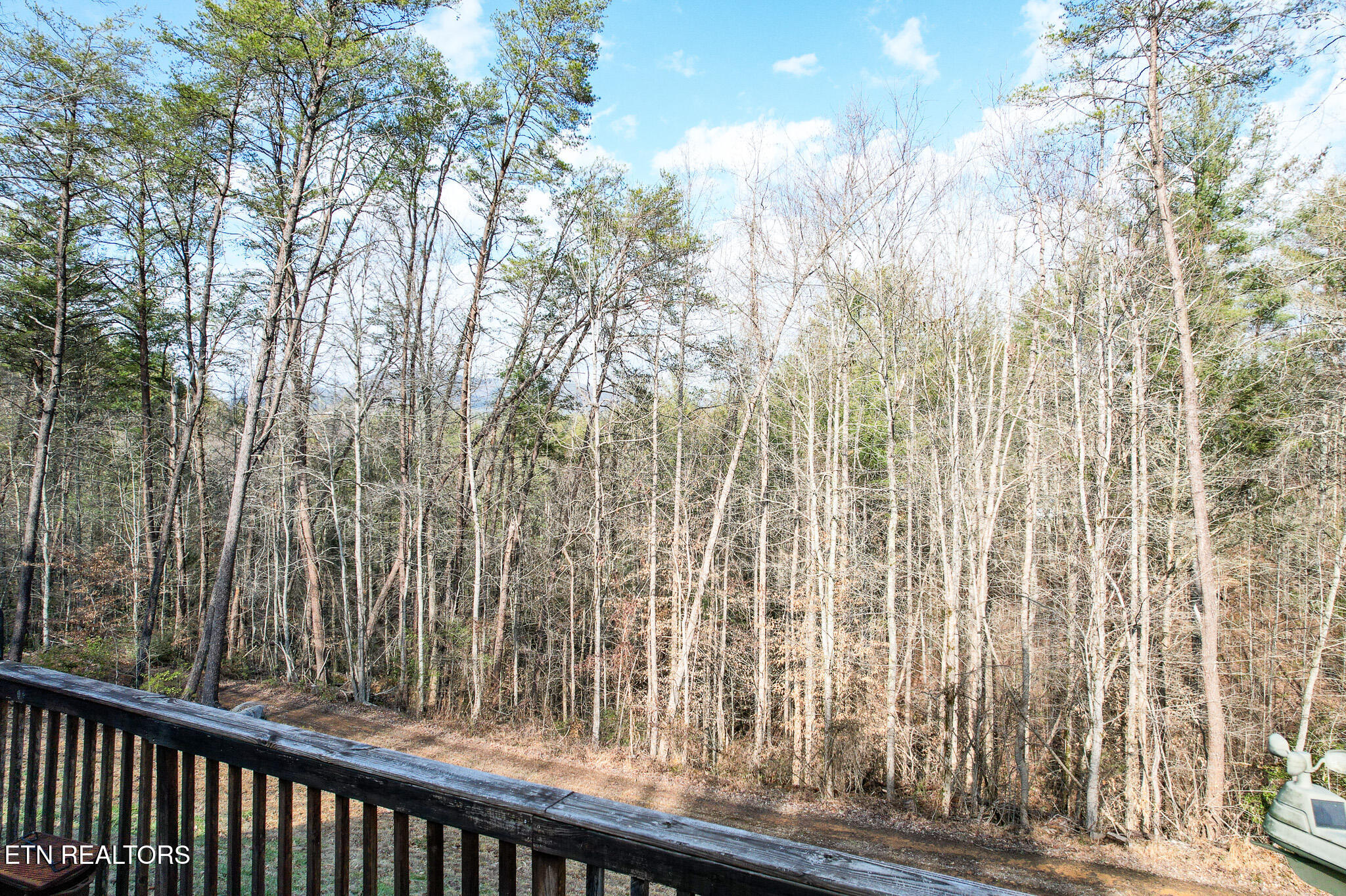 474 Punkton Road Del Rio TN 37727