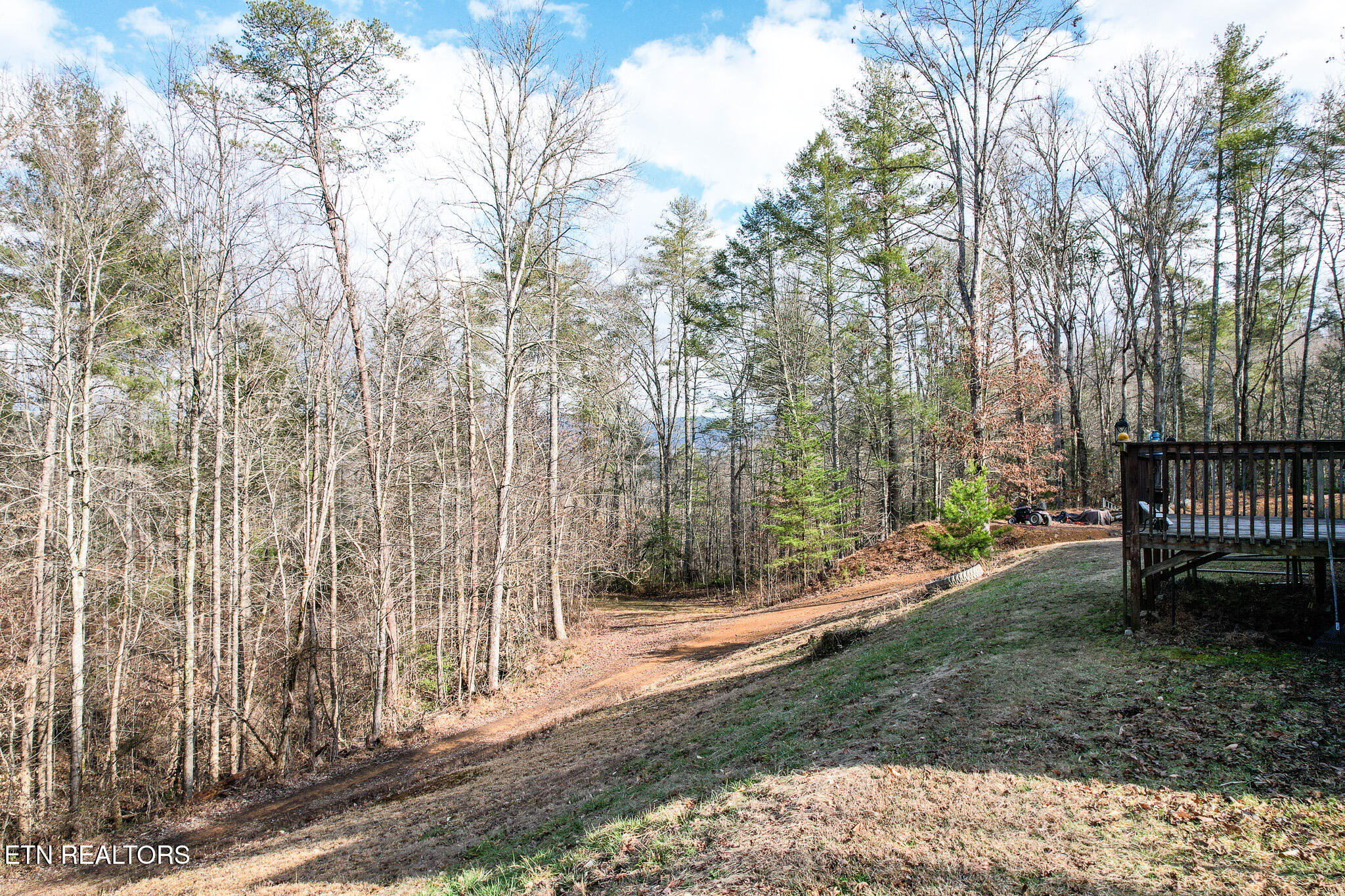 474 Punkton Road Del Rio TN 37727