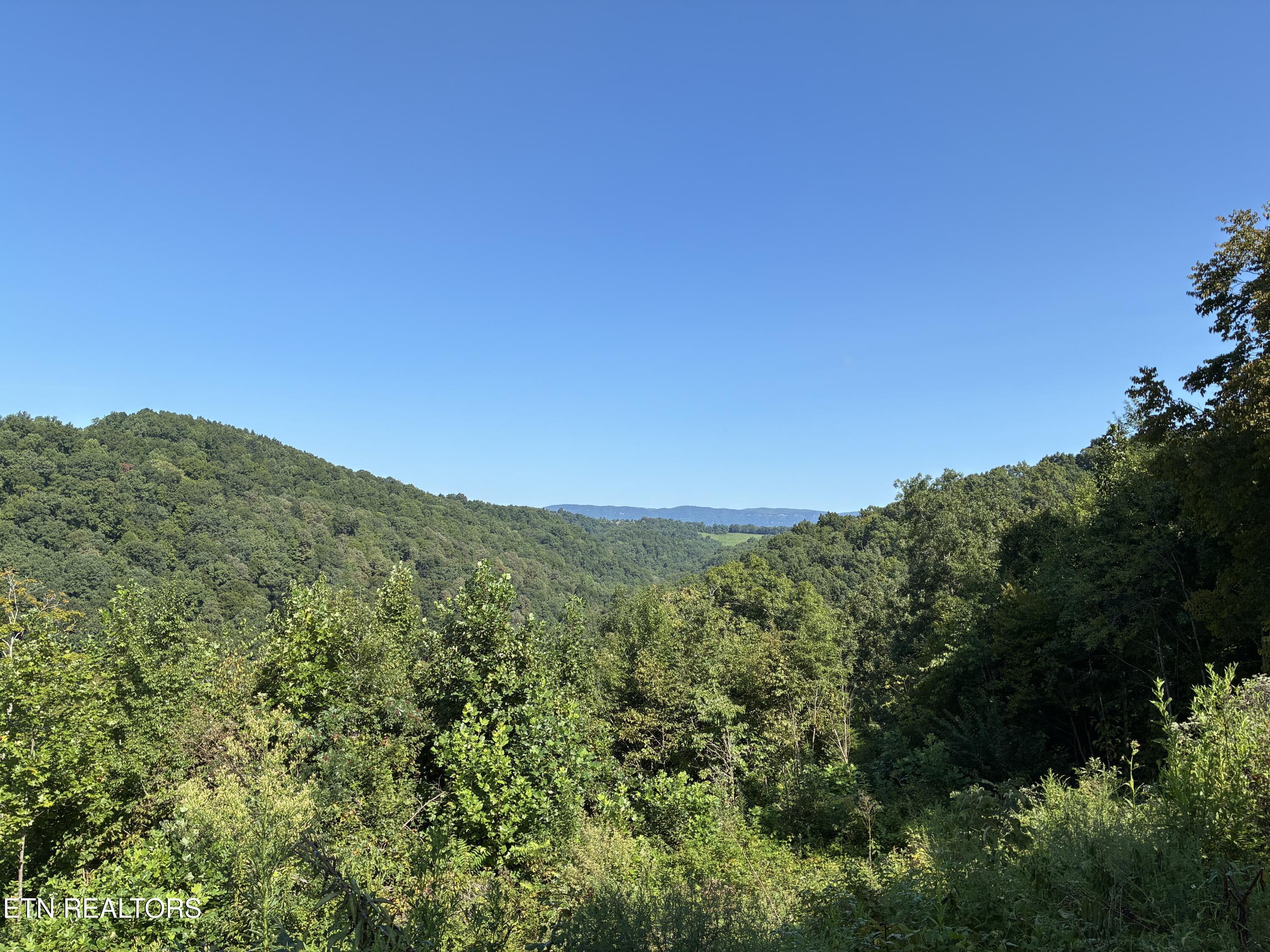 1160 Oak Grove Road Harrogate TN 37752