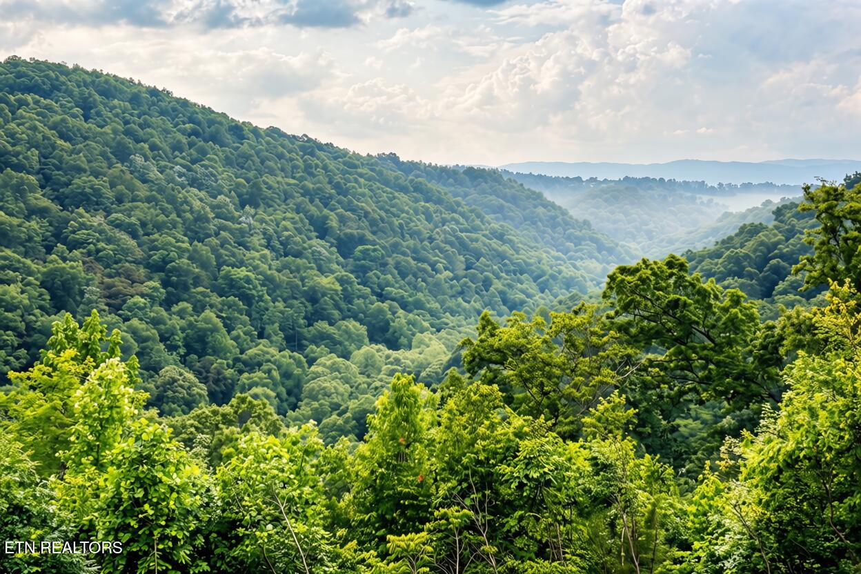 1160 Oak Grove Road Harrogate TN 37752