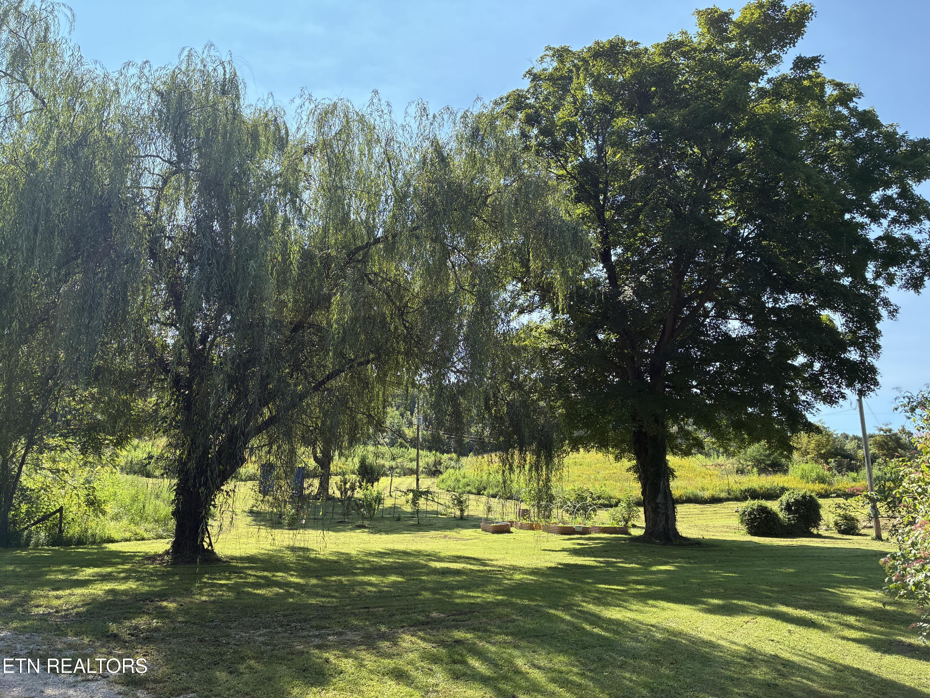 1160 Oak Grove Road Harrogate TN 37752