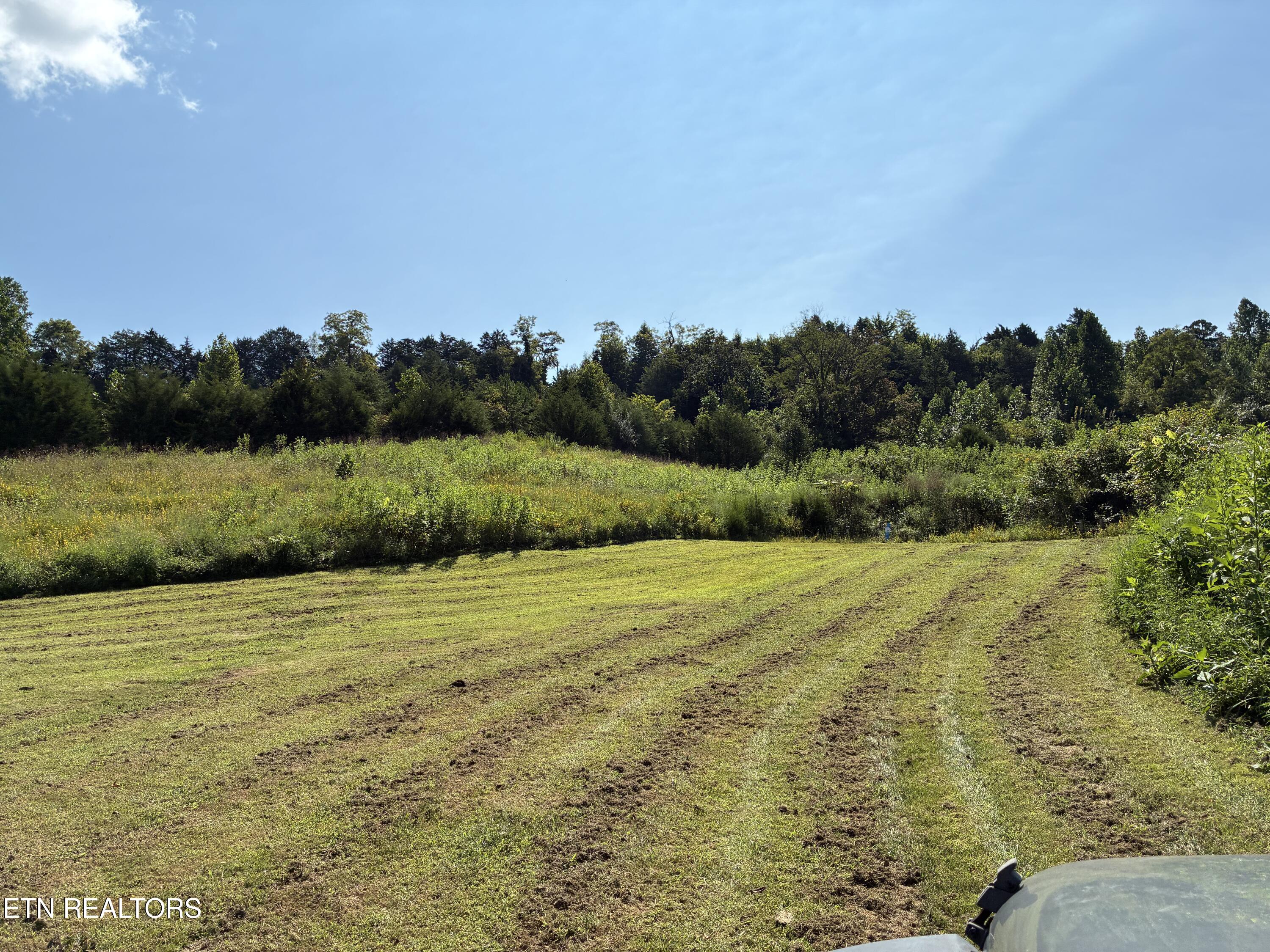 1160 Oak Grove Road Harrogate TN 37752