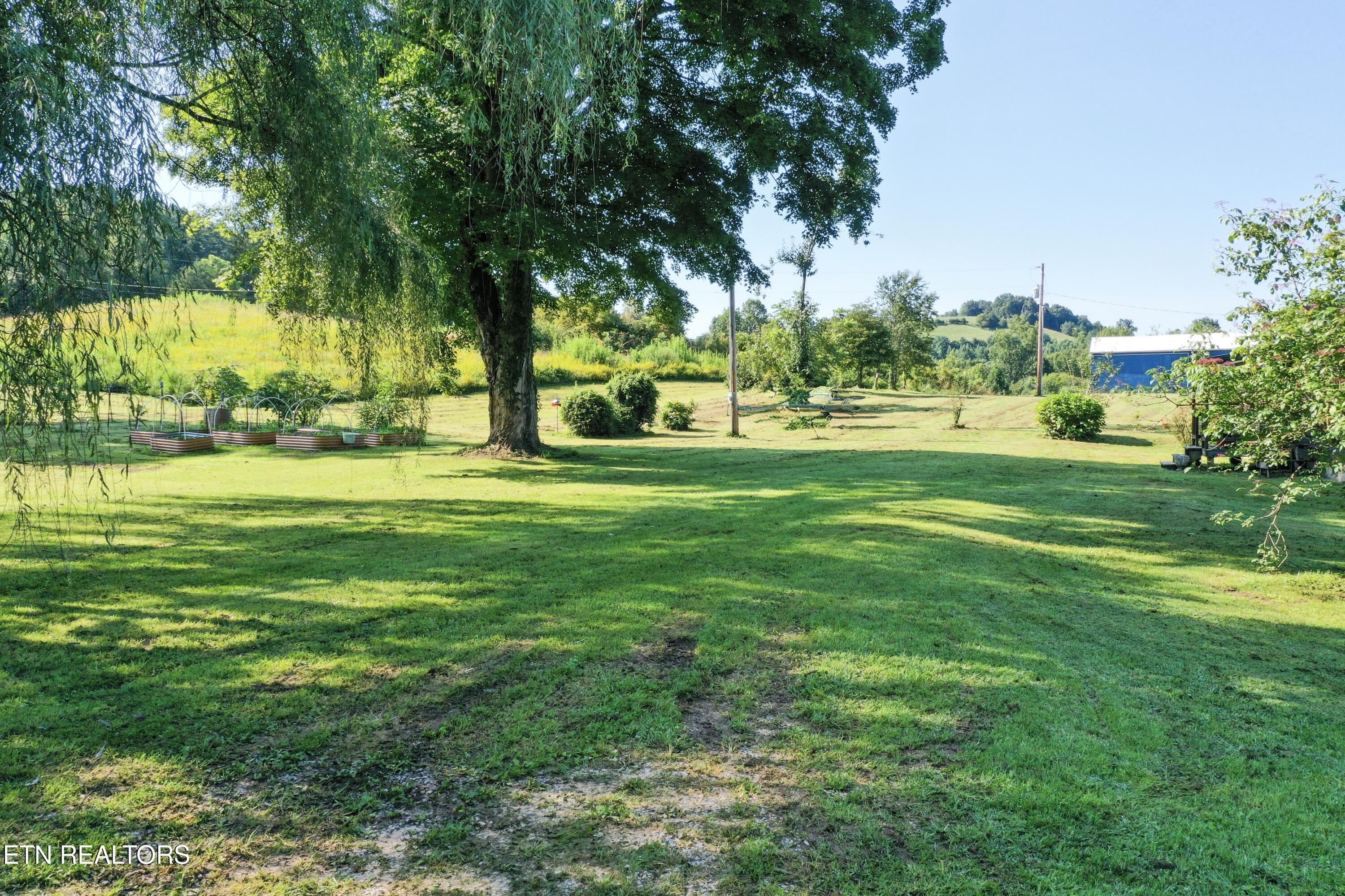 1160 Oak Grove Road Harrogate TN 37752