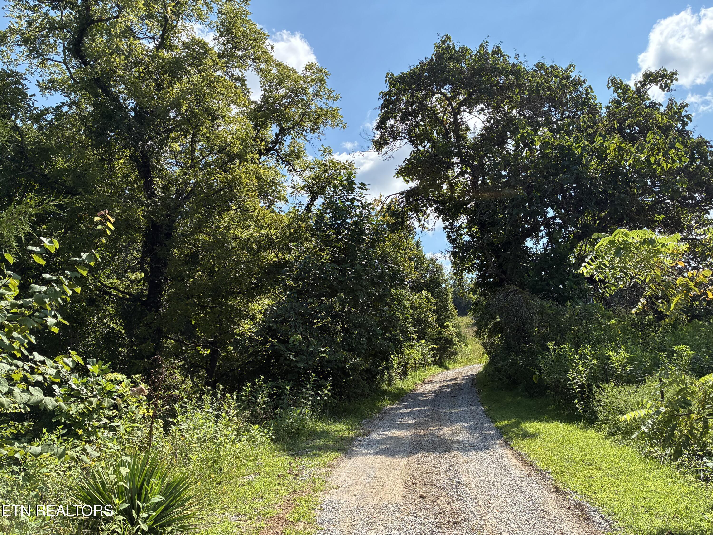 1160 Oak Grove Road Harrogate TN 37752