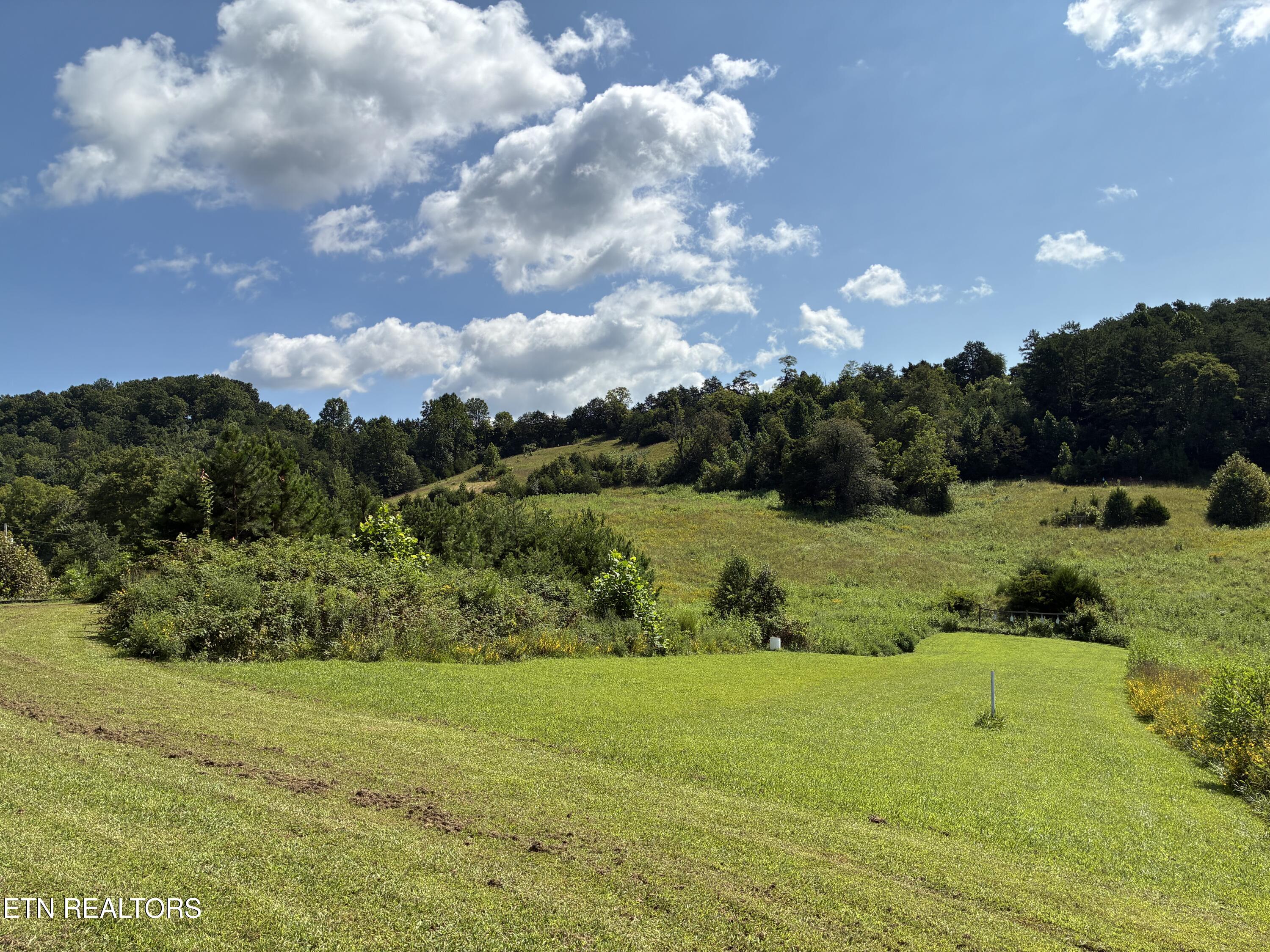 1160 Oak Grove Road Harrogate TN 37752
