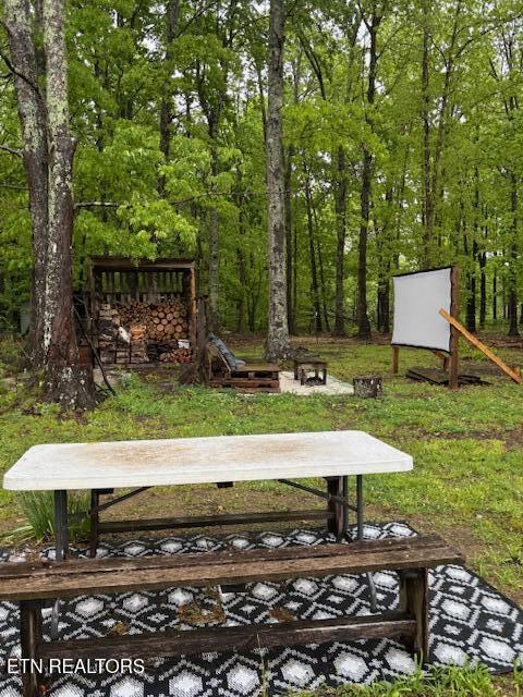 42 Dripping Springs Court Monterey TN 38574
