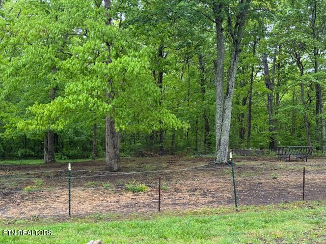 42 Dripping Springs Court Monterey TN 38574