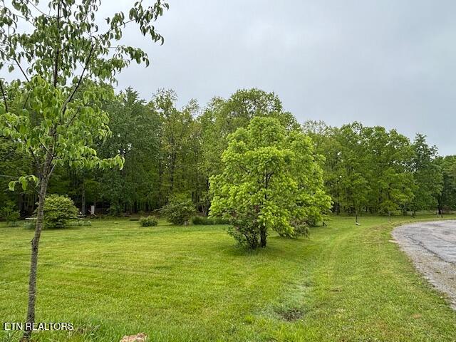 42 Dripping Springs Court Monterey TN 38574