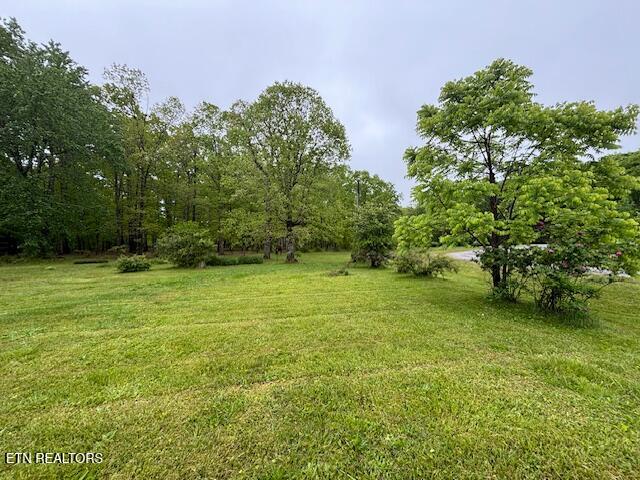 42 Dripping Springs Court Monterey TN 38574