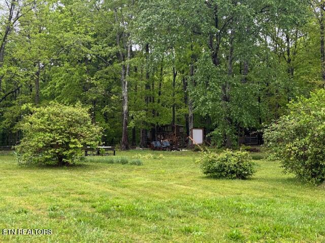42 Dripping Springs Court Monterey TN 38574