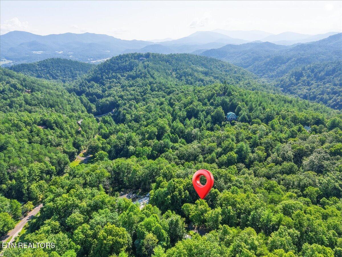739 Stonegate Way Townsend TN 37882