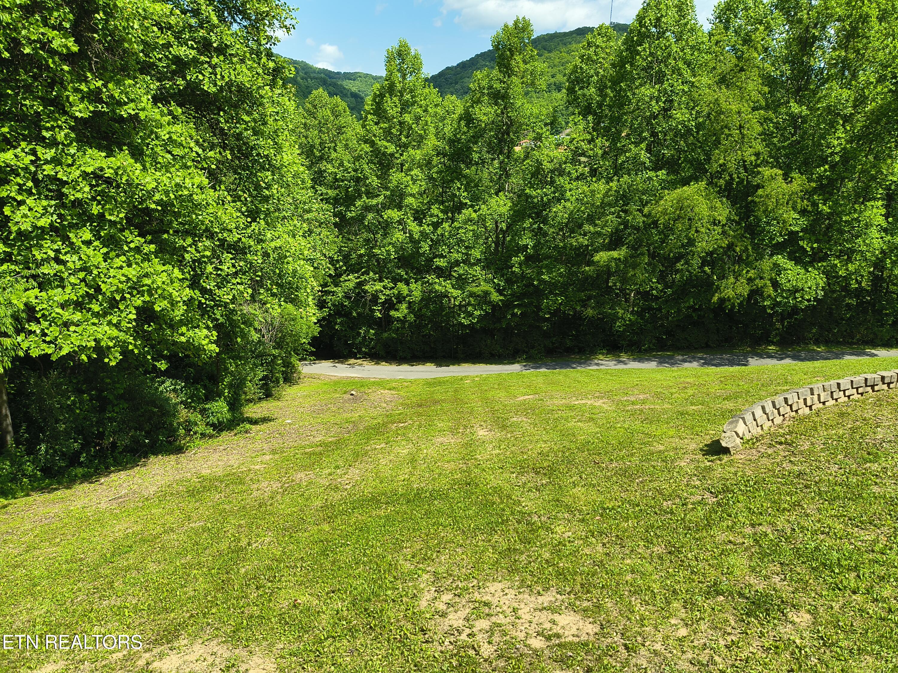 3552 Straight Fork Road Pioneer TN 37847